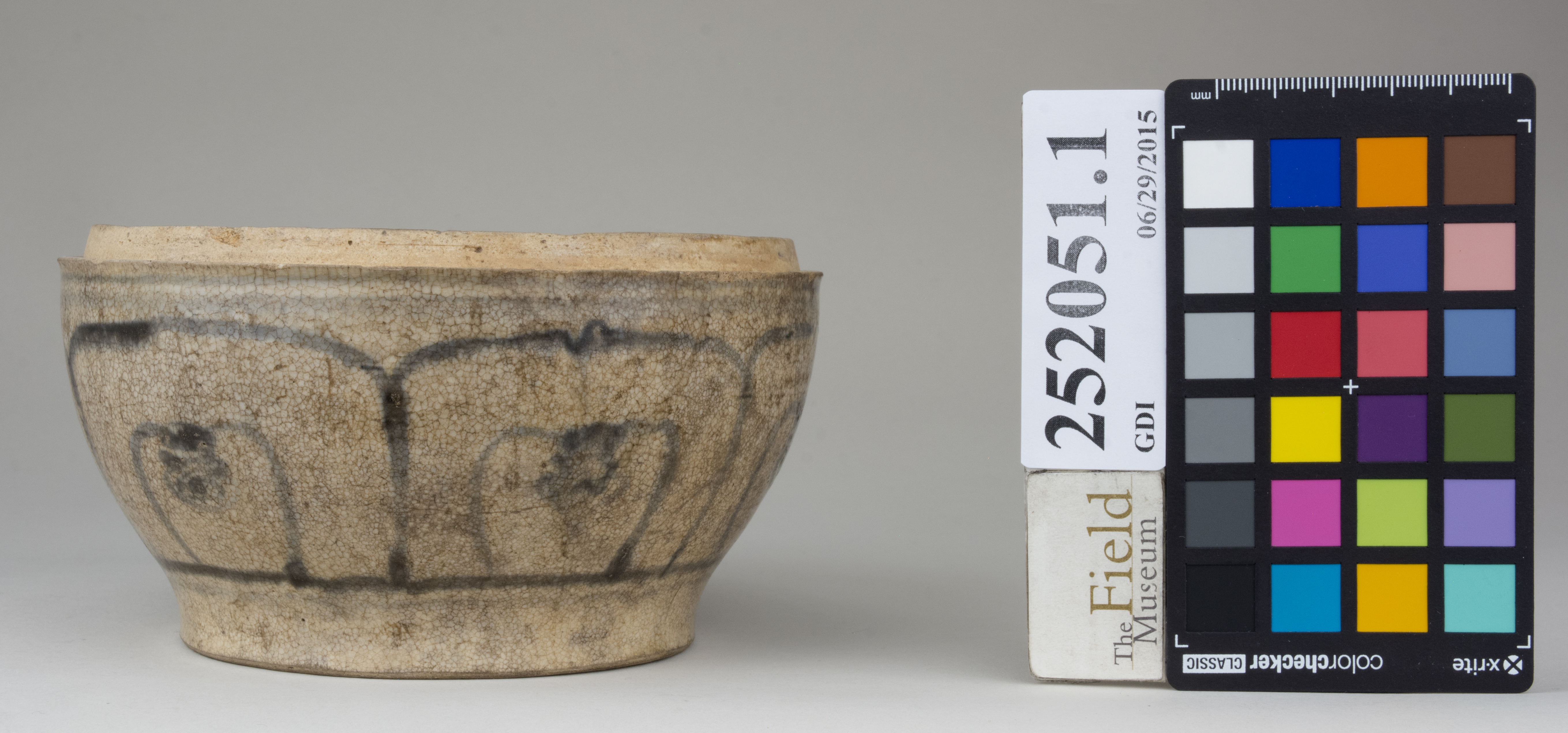 Front (c) Field Museum of Natural History - CC BY-NC 4.0