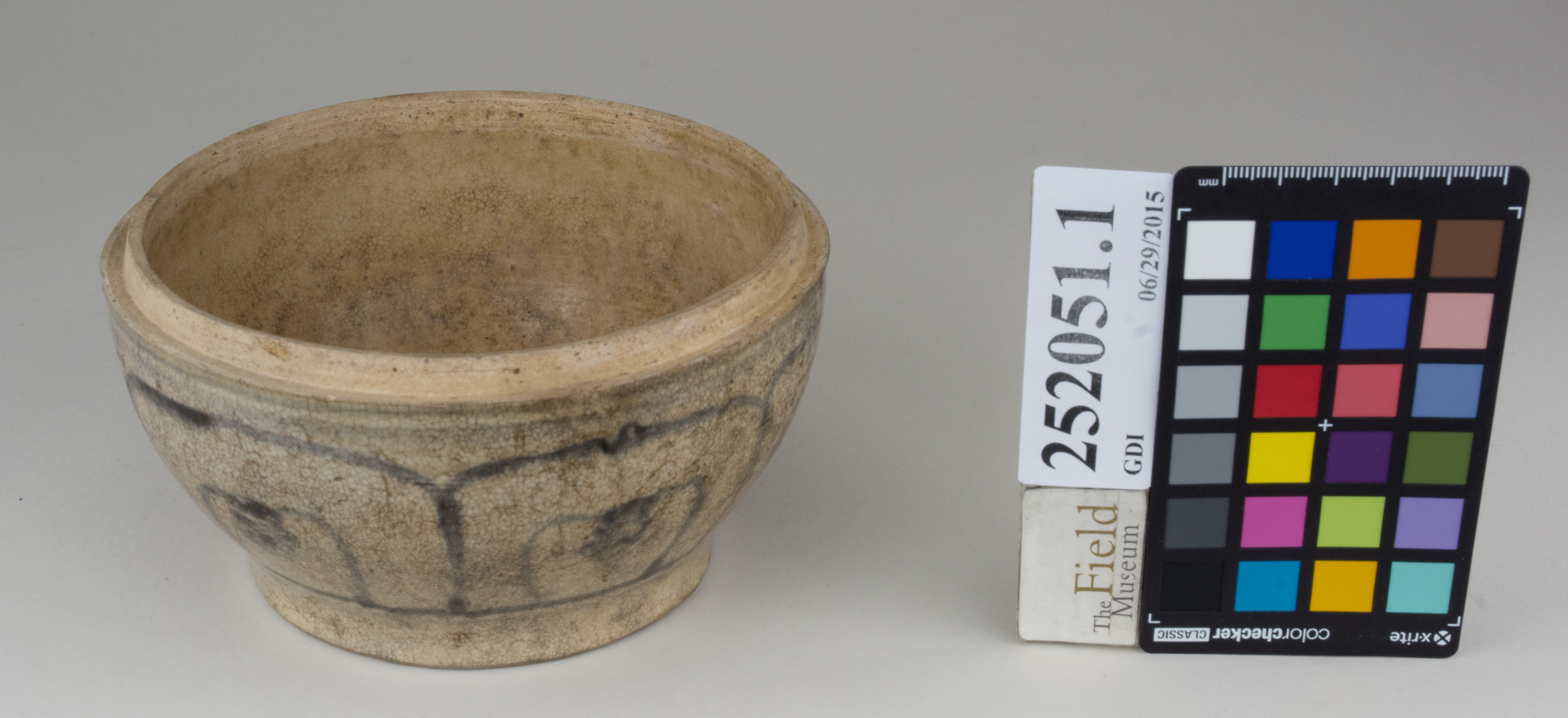 FrontAngle (c) Field Museum of Natural History - CC BY-NC 4.0