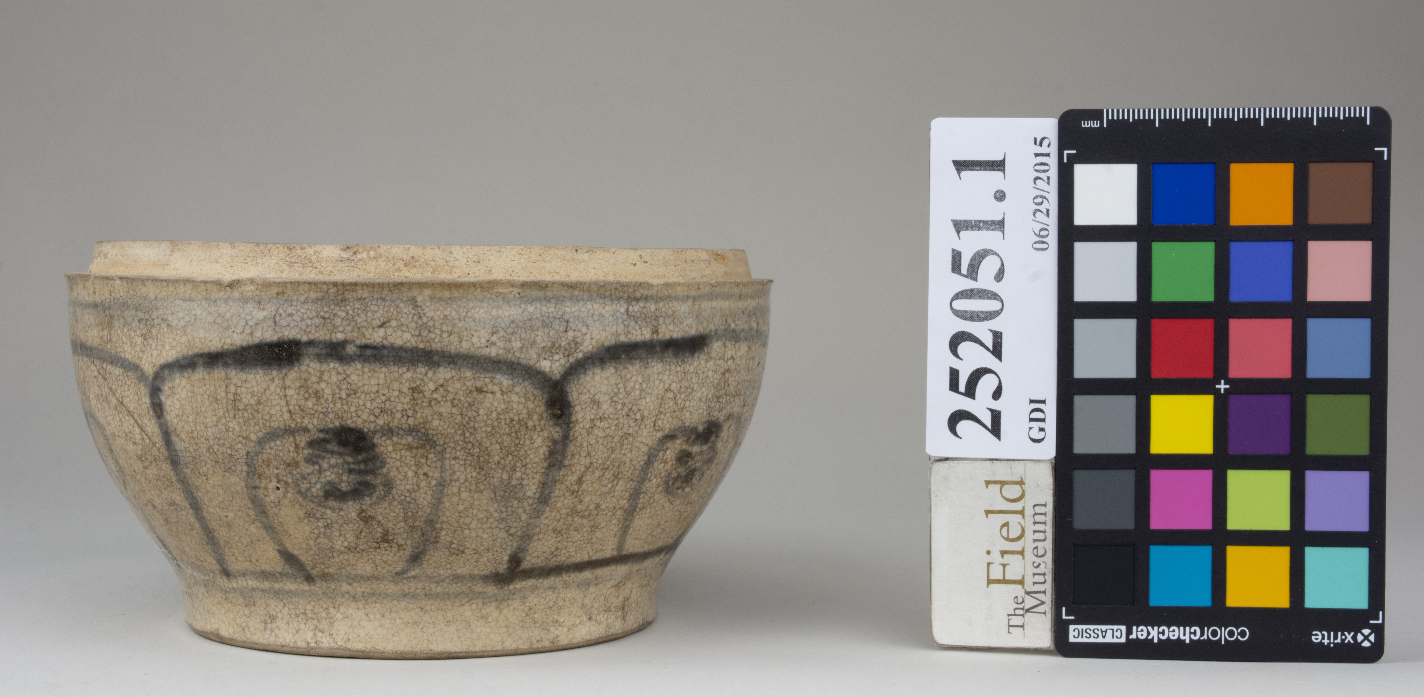 Right (c) Field Museum of Natural History - CC BY-NC 4.0