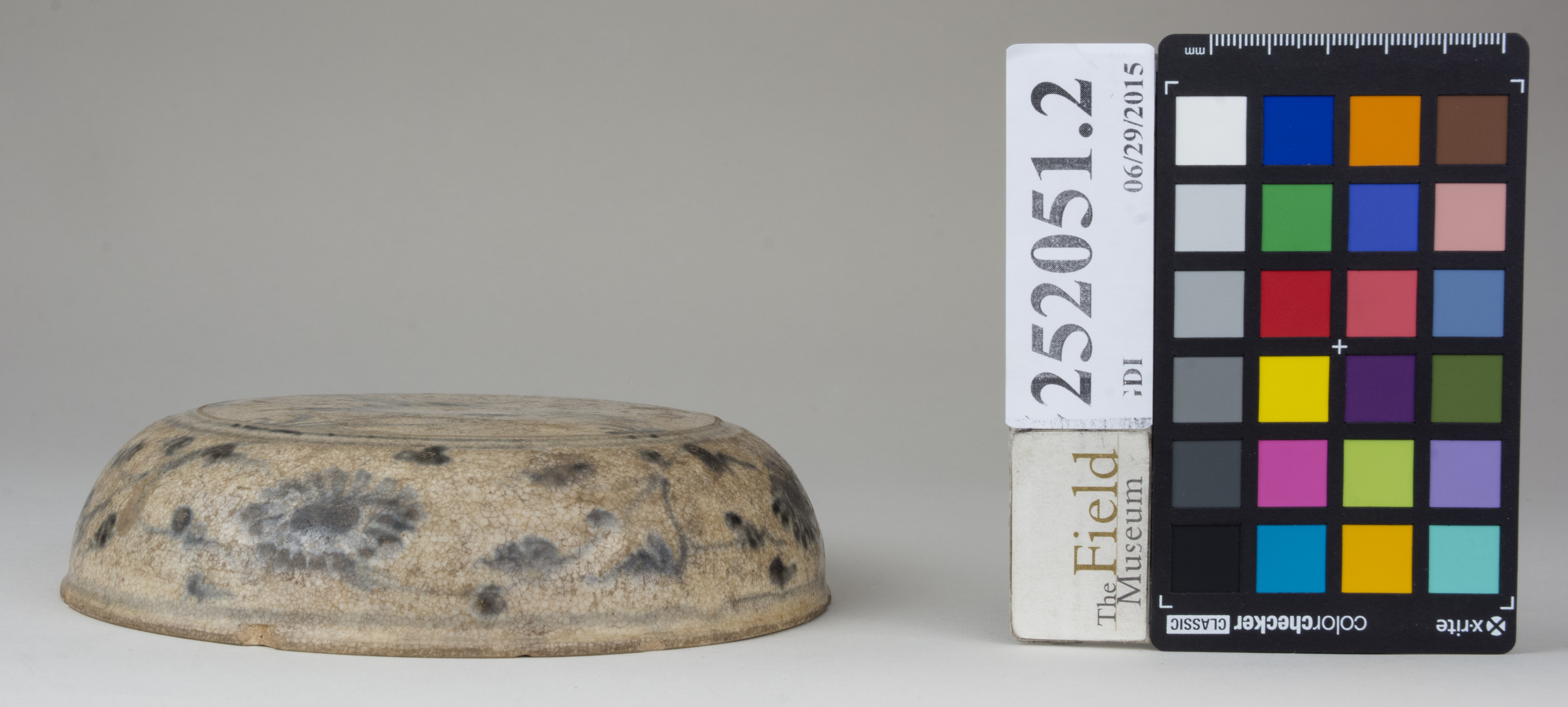 reference image, back (c) Field Museum of Natural History - CC BY-NC 4.0