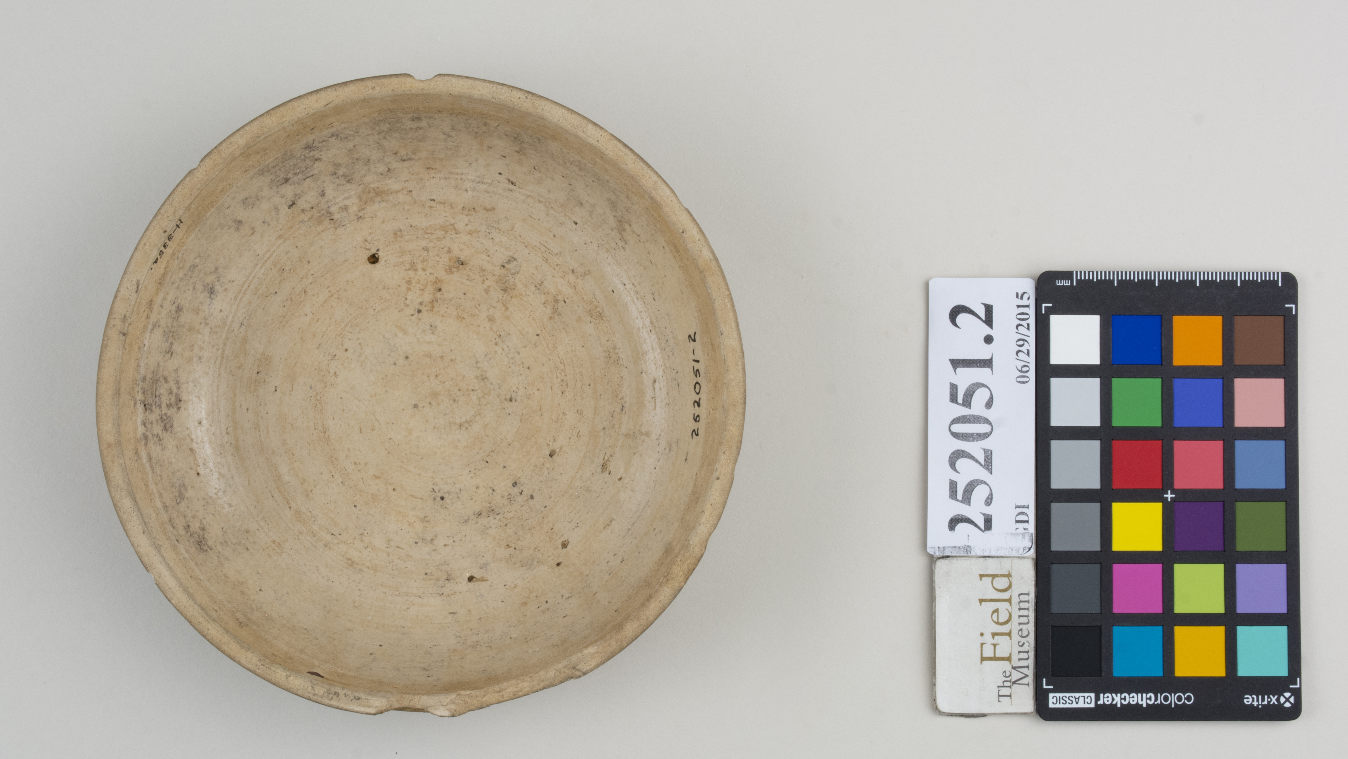 Bottom (c) Field Museum of Natural History - CC BY-NC 4.0