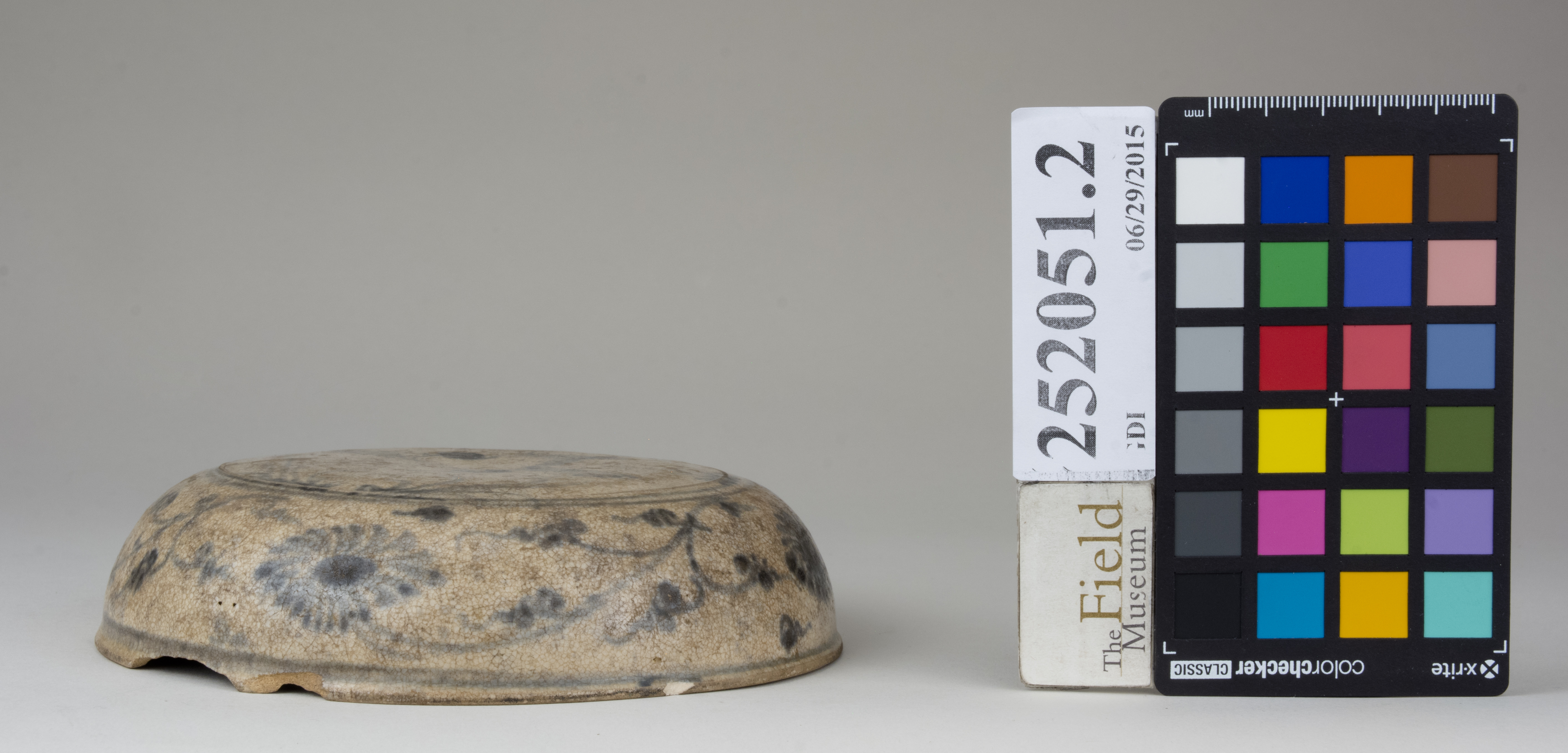 Front (c) Field Museum of Natural History - CC BY-NC 4.0