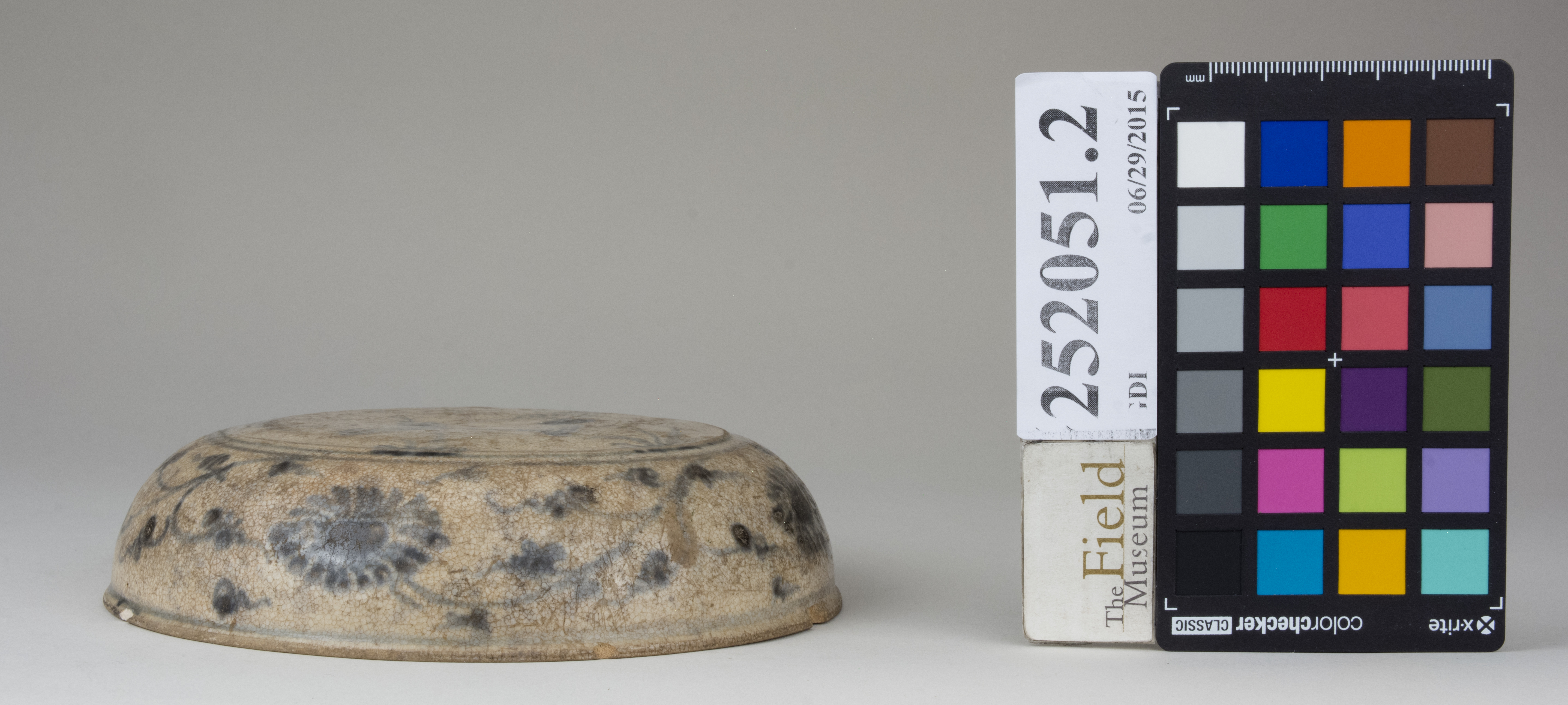 Left (c) Field Museum of Natural History - CC BY-NC 4.0