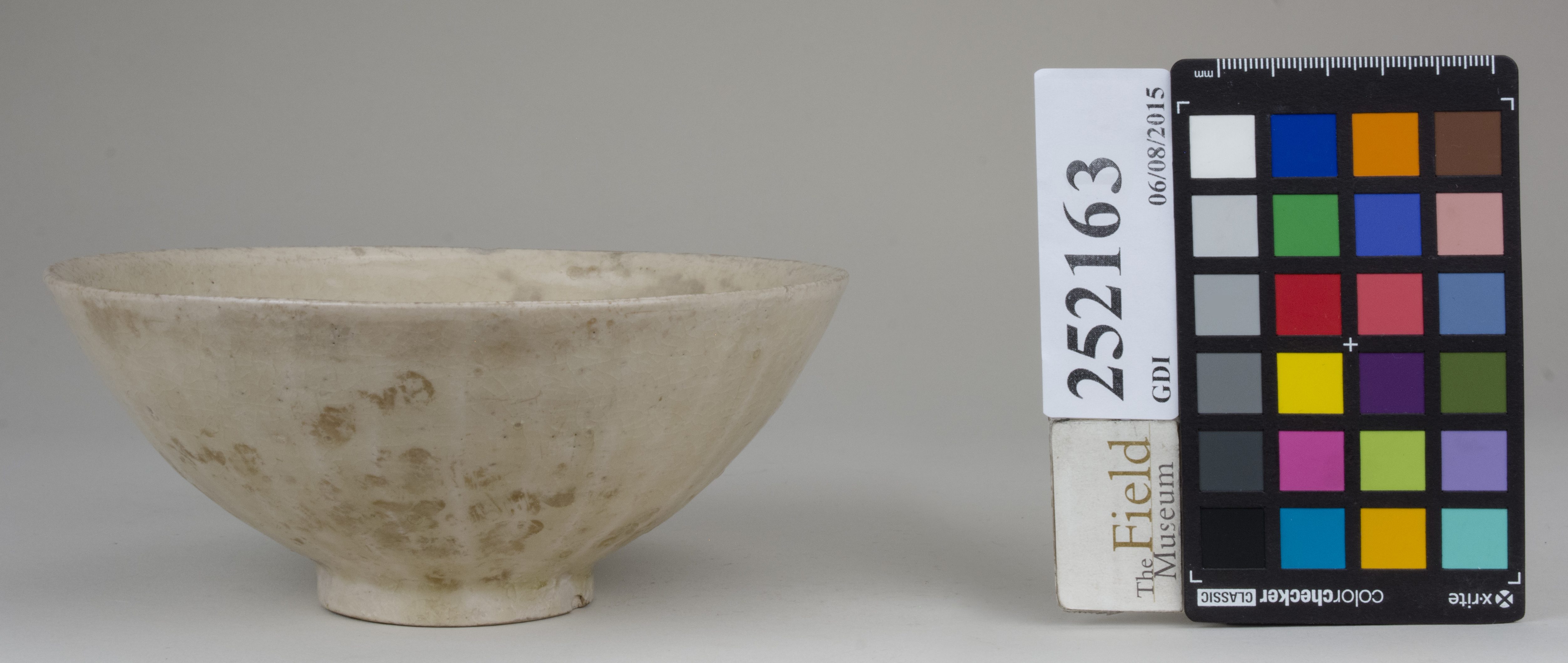 reference image, back (c) Field Museum of Natural History - CC BY-NC 4.0