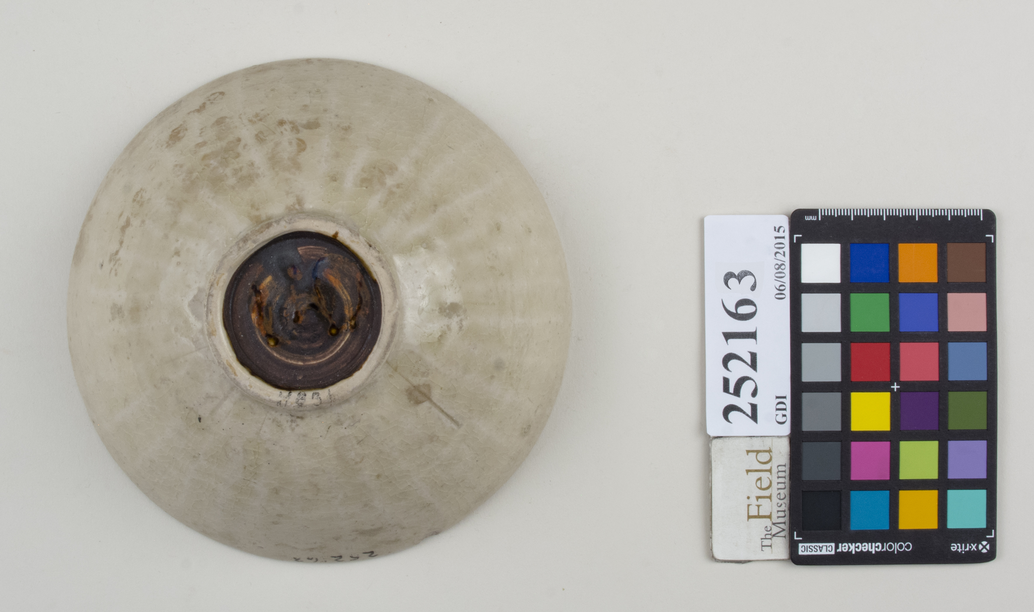 Bottom (c) Field Museum of Natural History - CC BY-NC 4.0