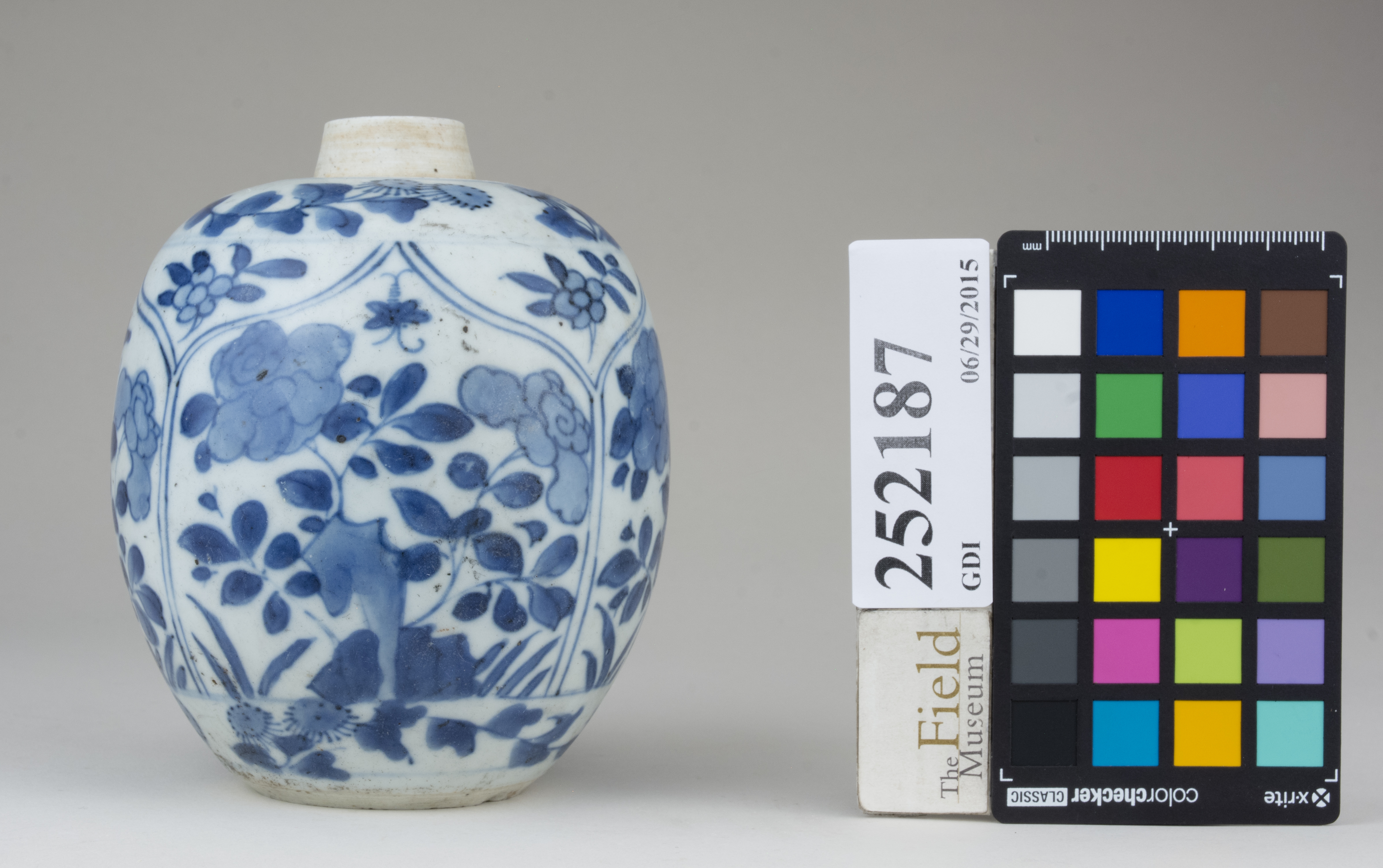 reference image, back (c) Field Museum of Natural History - CC BY-NC 4.0