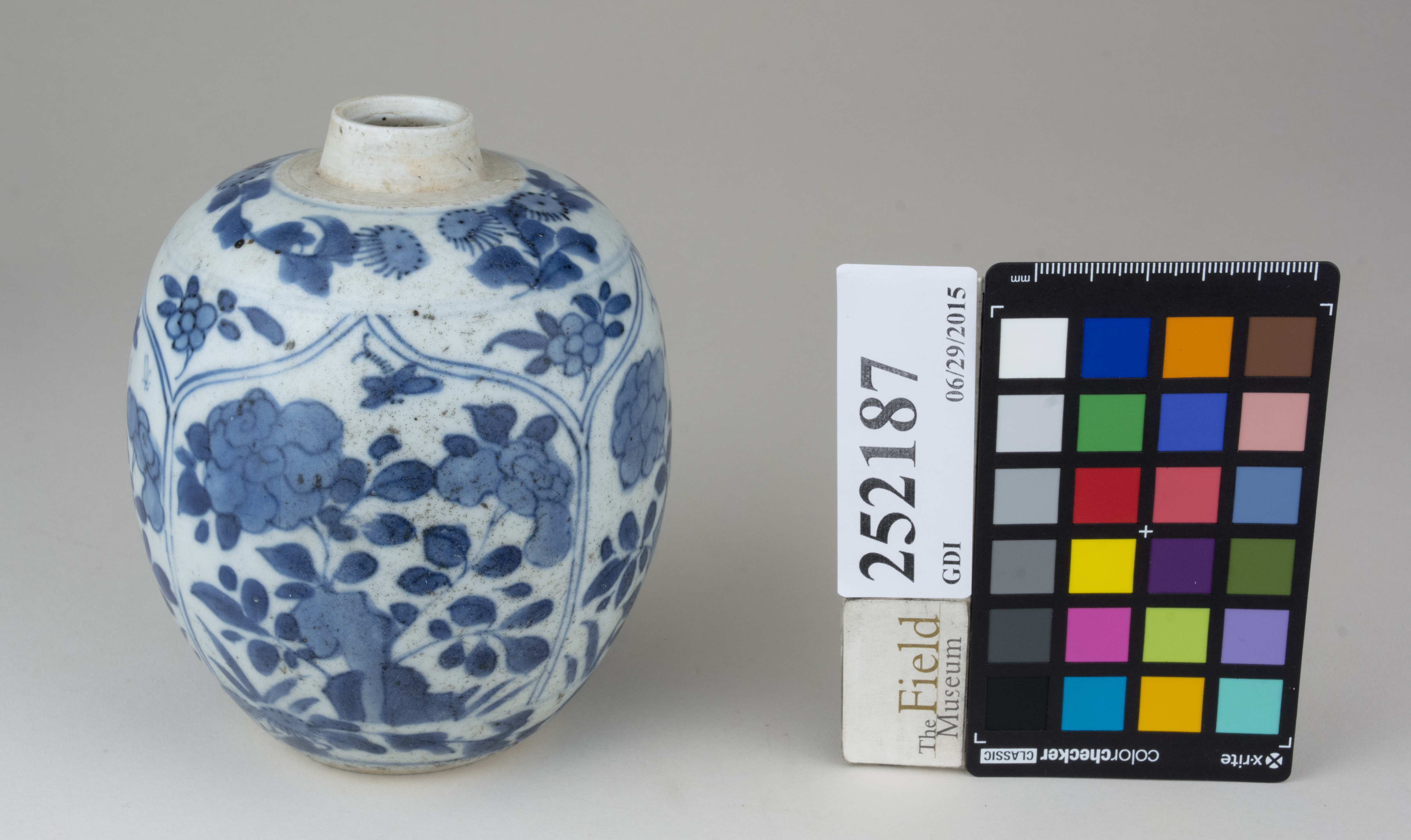 FrontAngle (c) Field Museum of Natural History - CC BY-NC 4.0