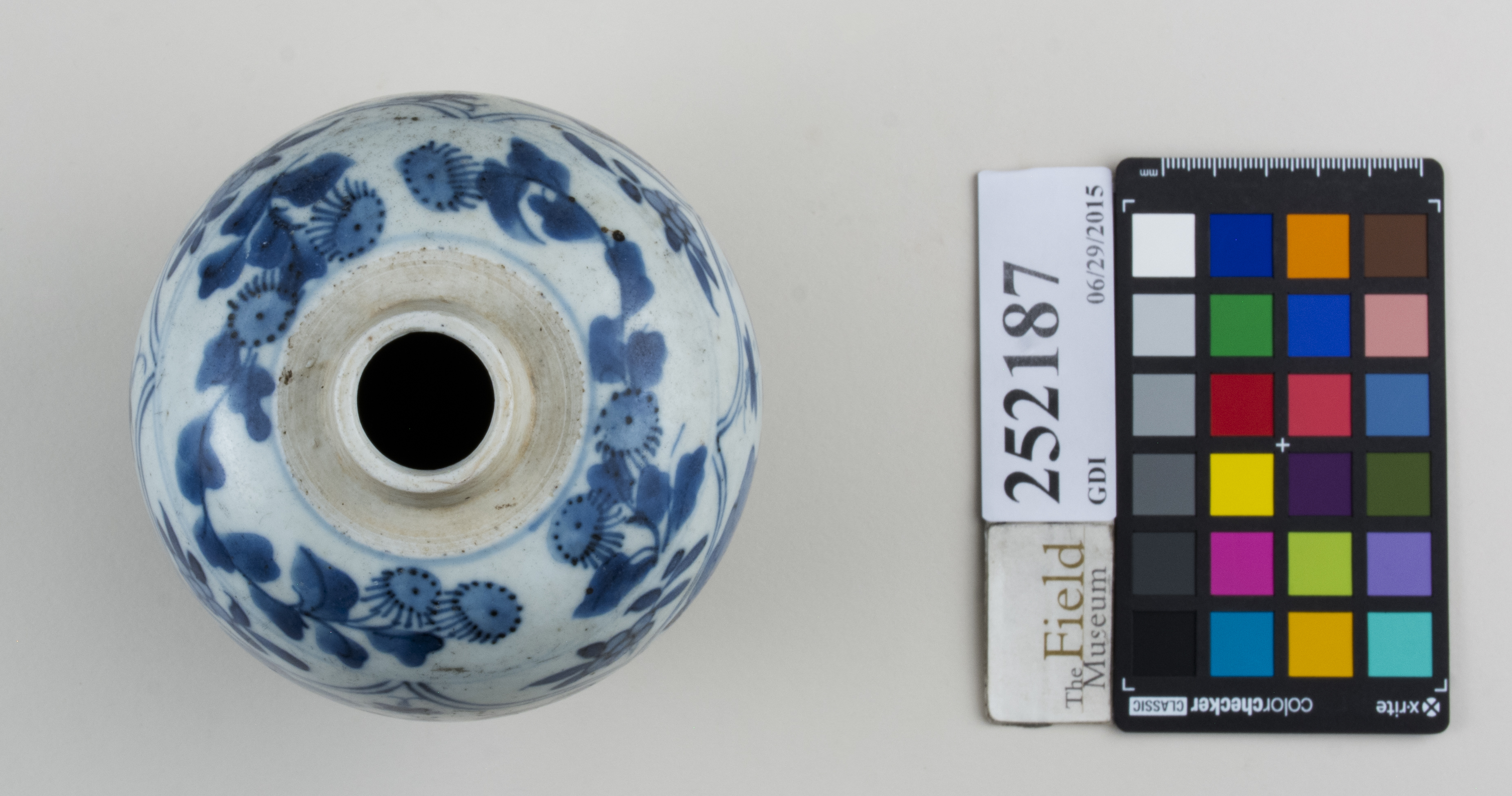 Top (c) Field Museum of Natural History - CC BY-NC 4.0