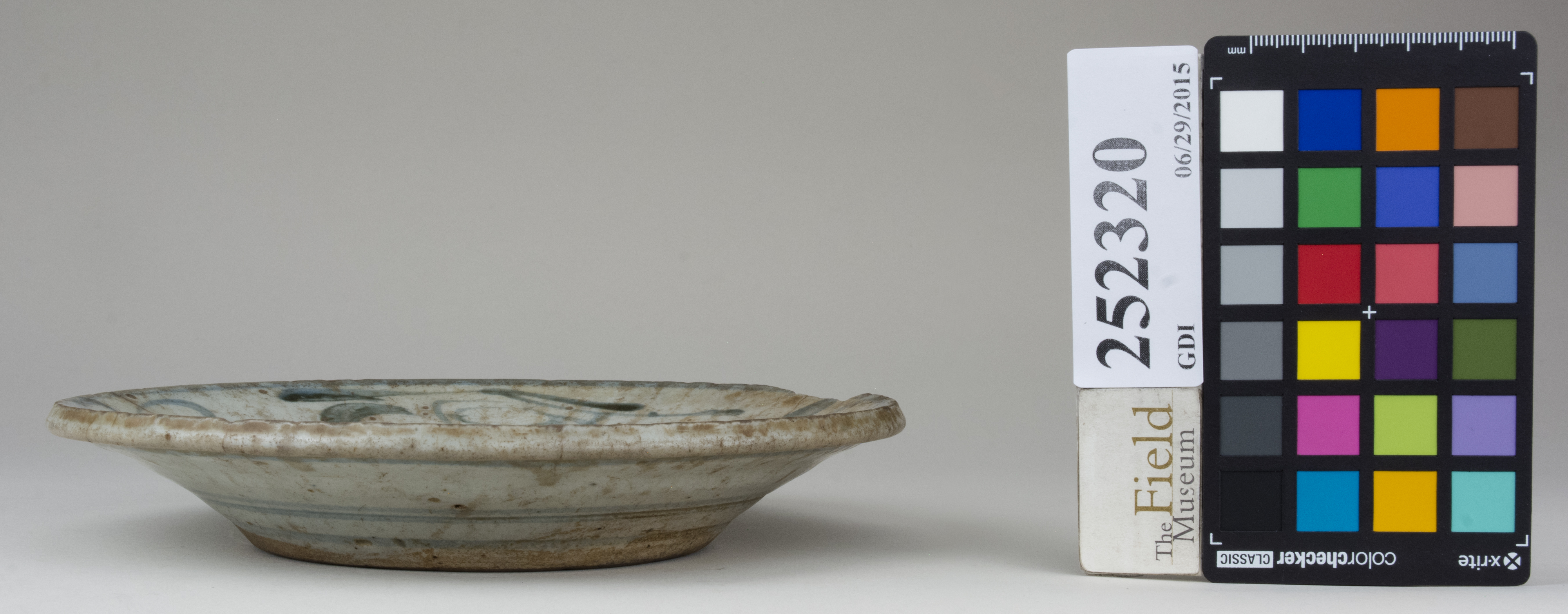 reference image, back (c) Field Museum of Natural History - CC BY-NC 4.0