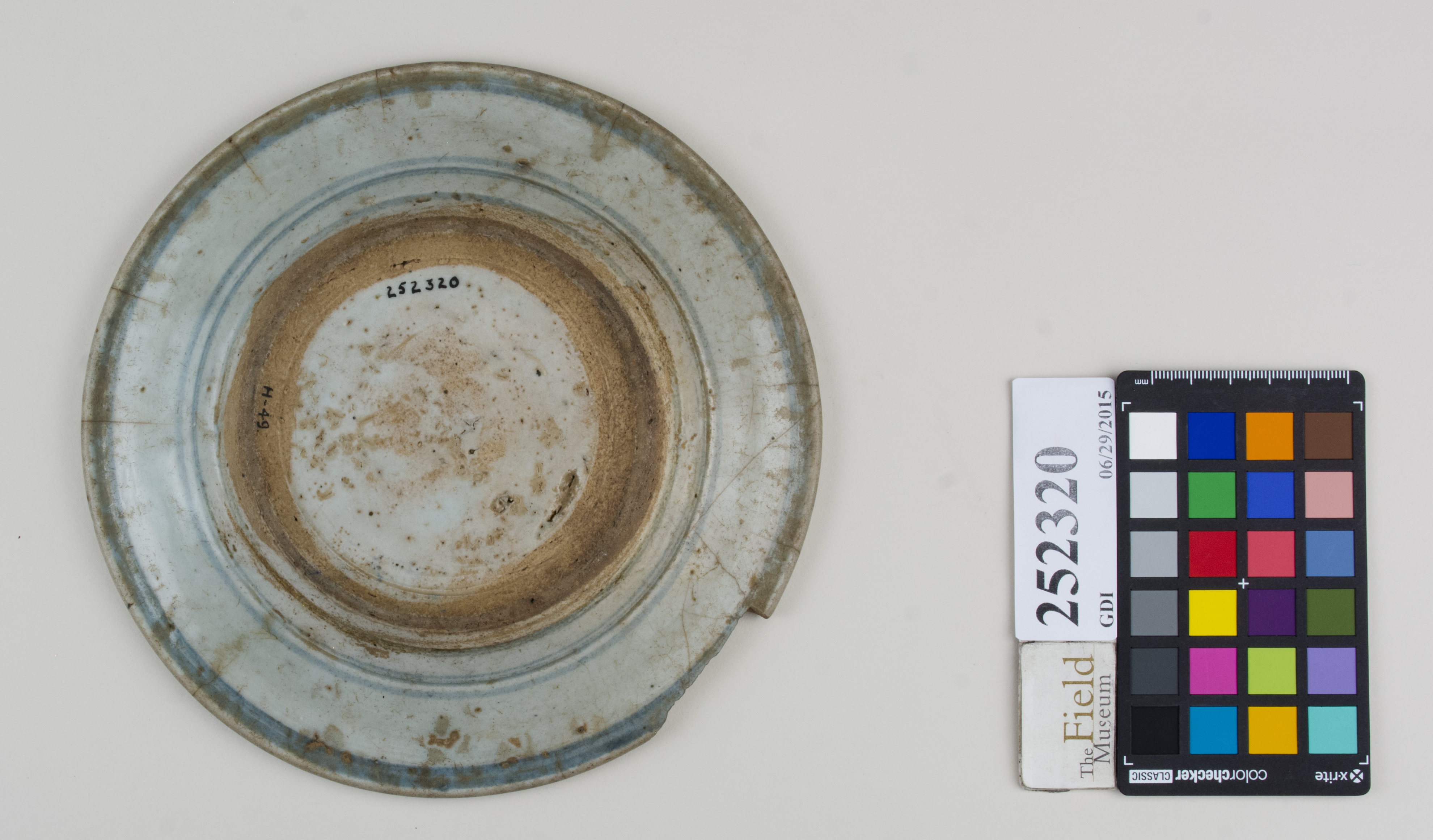 Bottom (c) Field Museum of Natural History - CC BY-NC 4.0