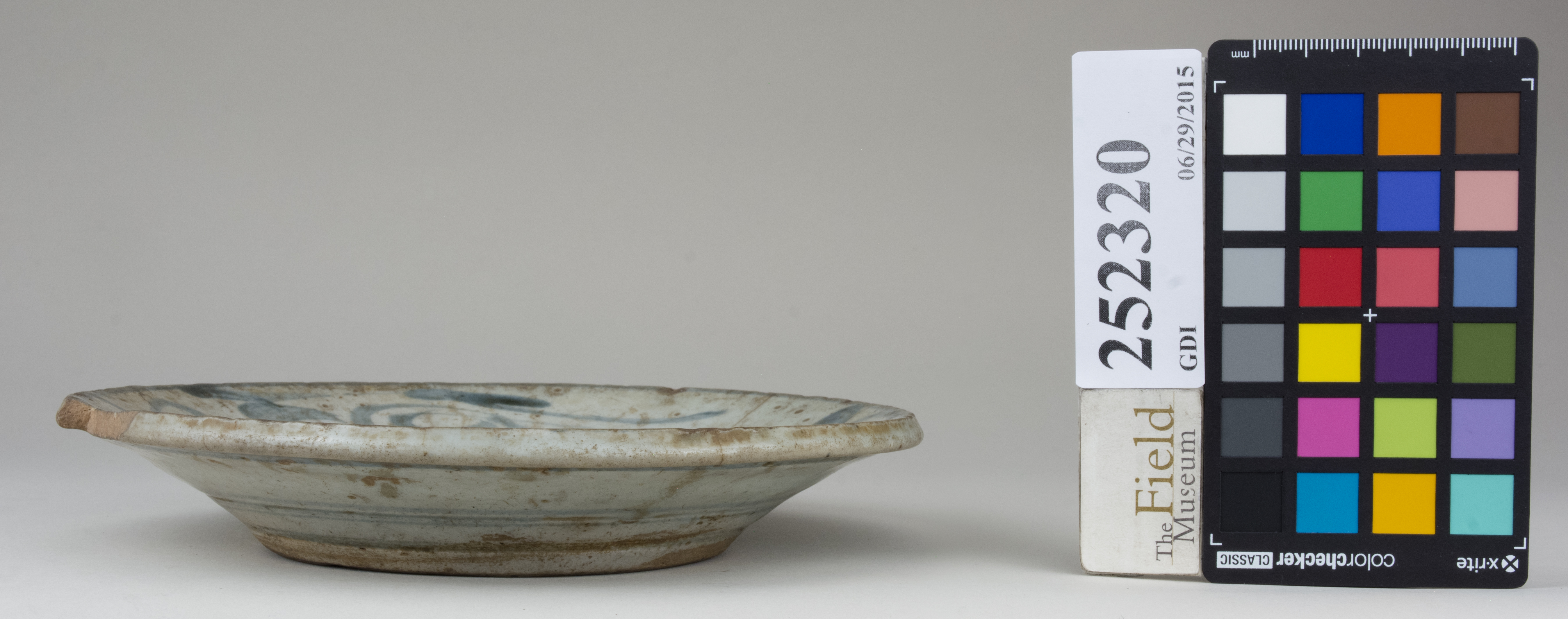 Front (c) Field Museum of Natural History - CC BY-NC 4.0