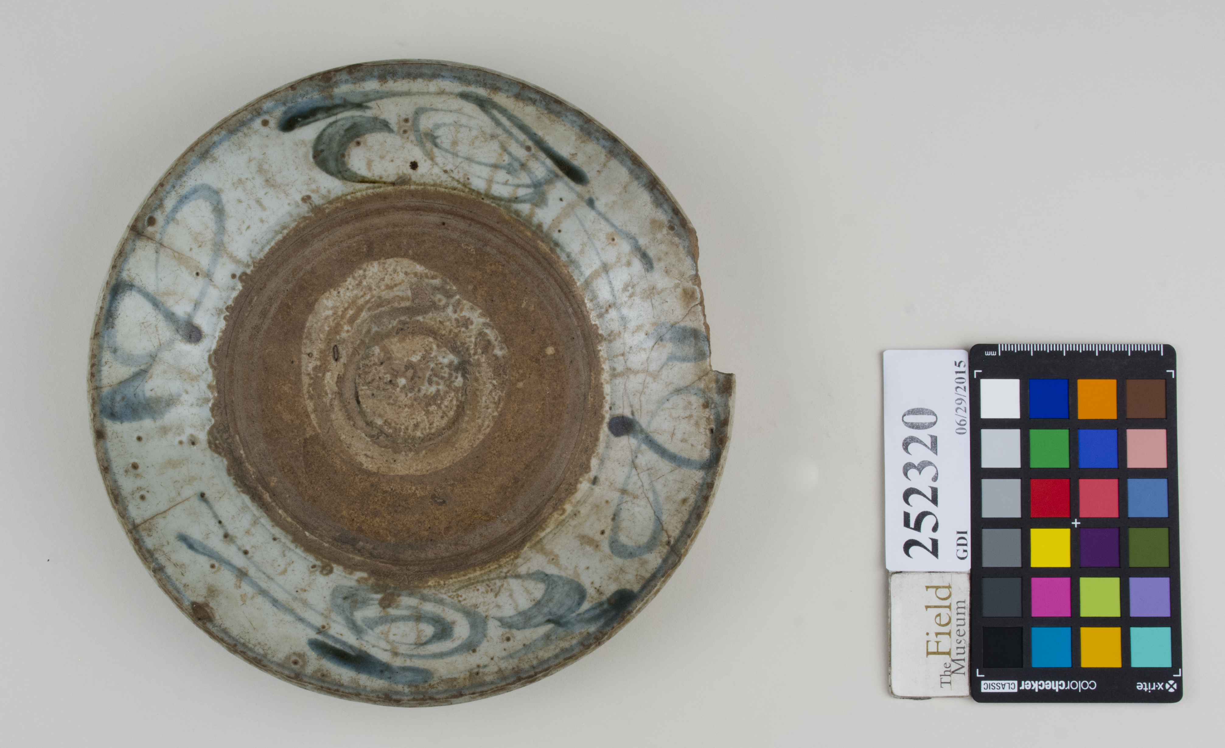 Top (c) Field Museum of Natural History - CC BY-NC 4.0