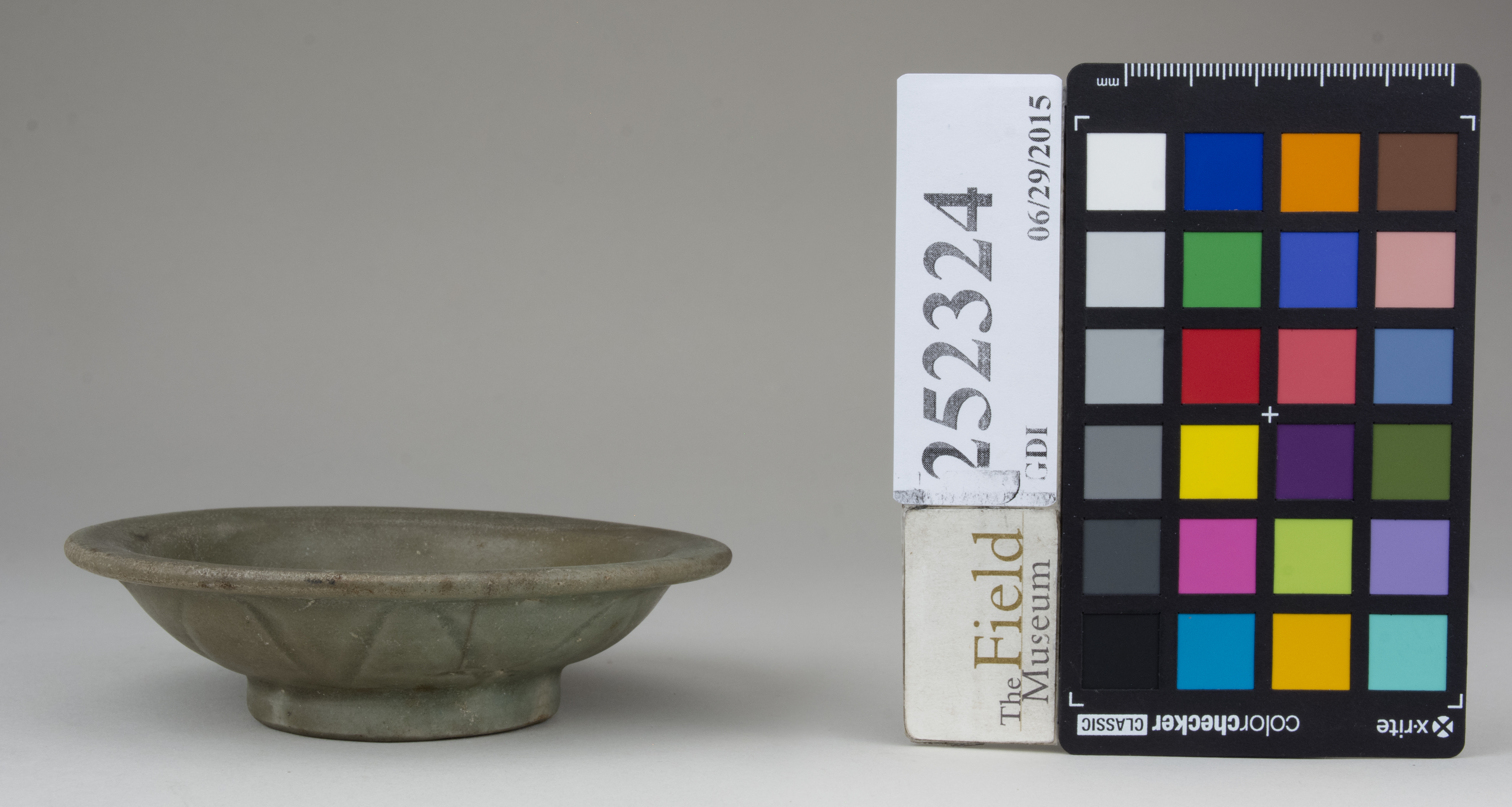 Front (c) Field Museum of Natural History - CC BY-NC 4.0