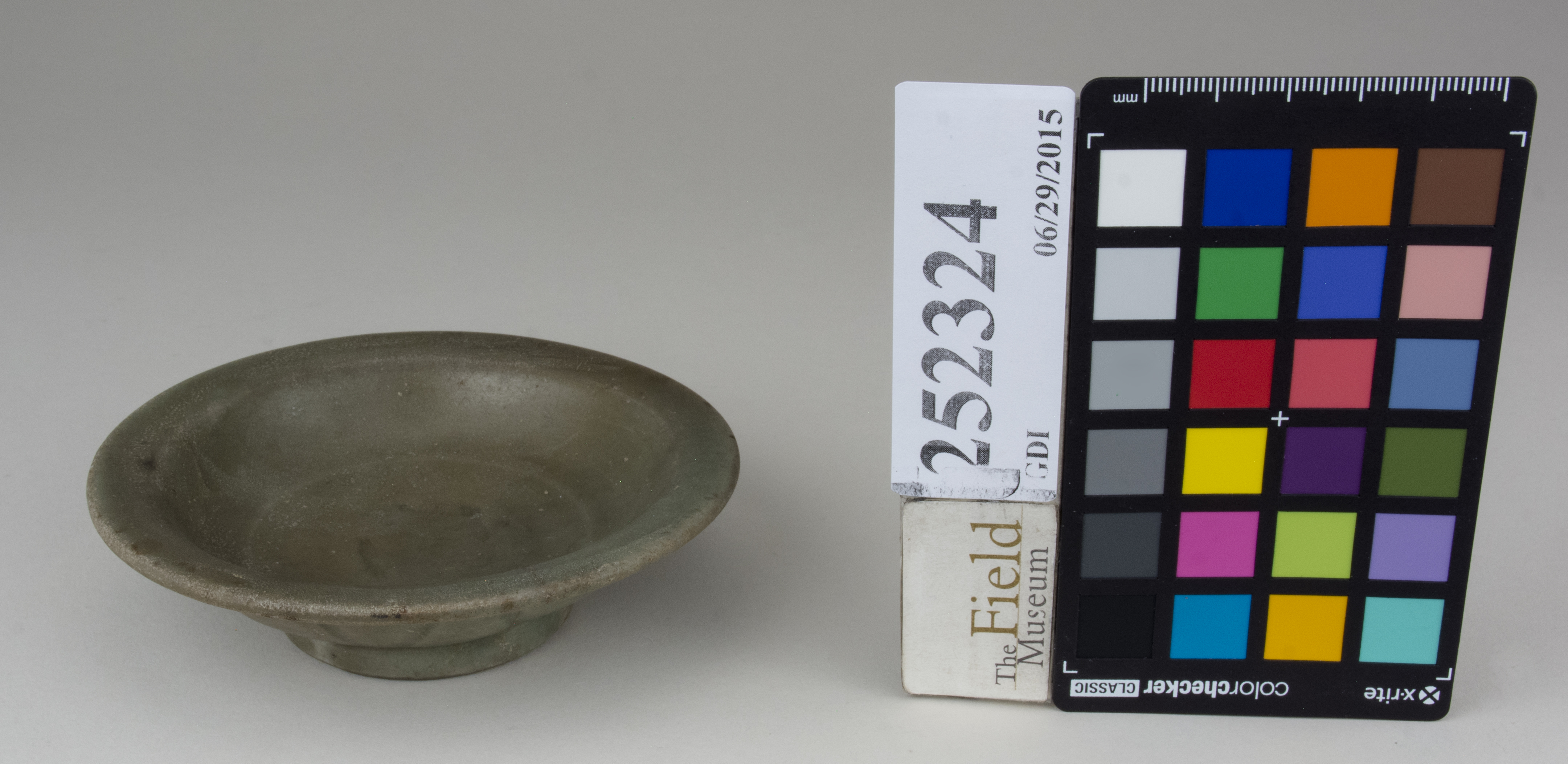 FrontAngle (c) Field Museum of Natural History - CC BY-NC 4.0