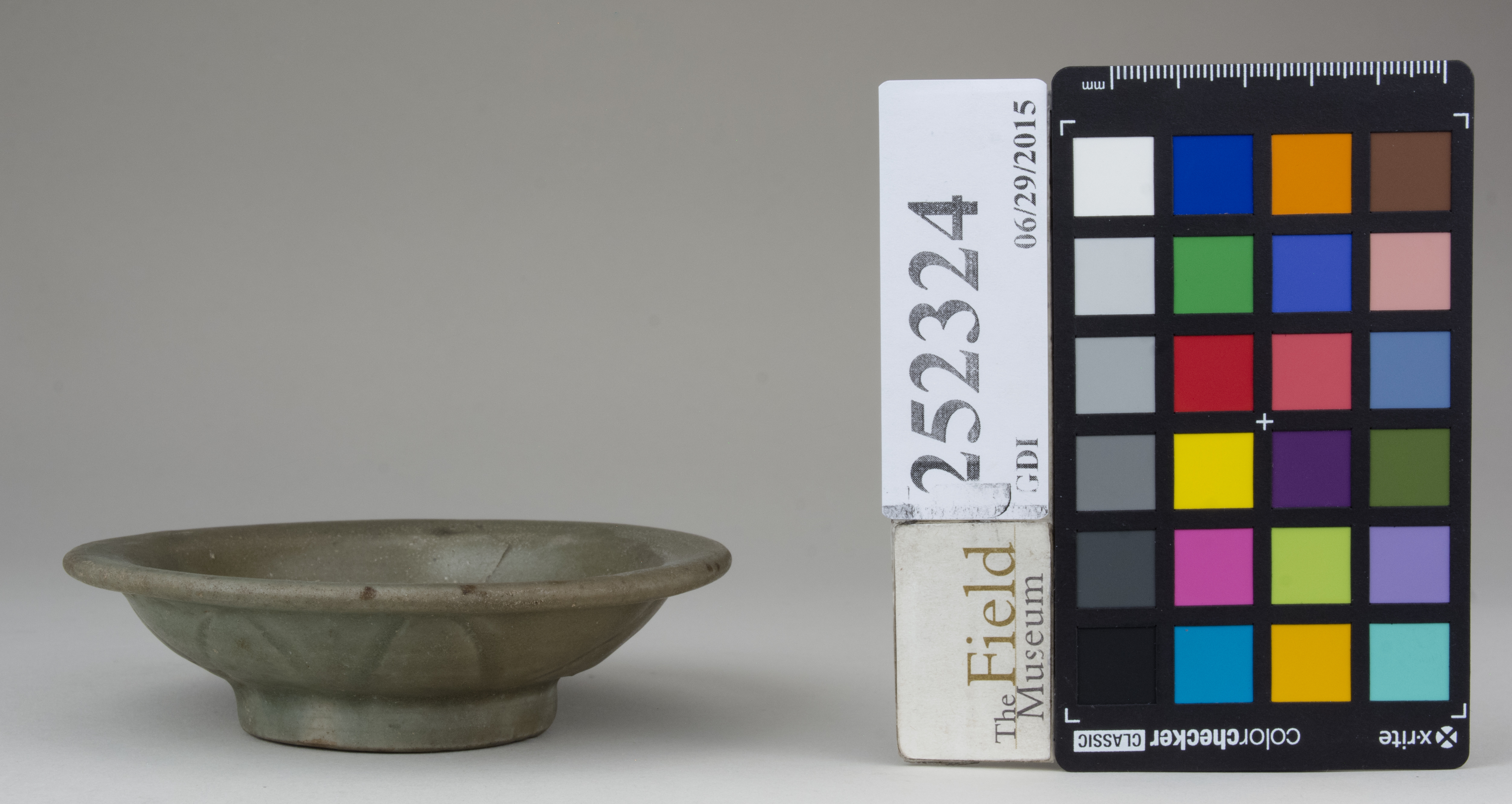 Left (c) Field Museum of Natural History - CC BY-NC 4.0