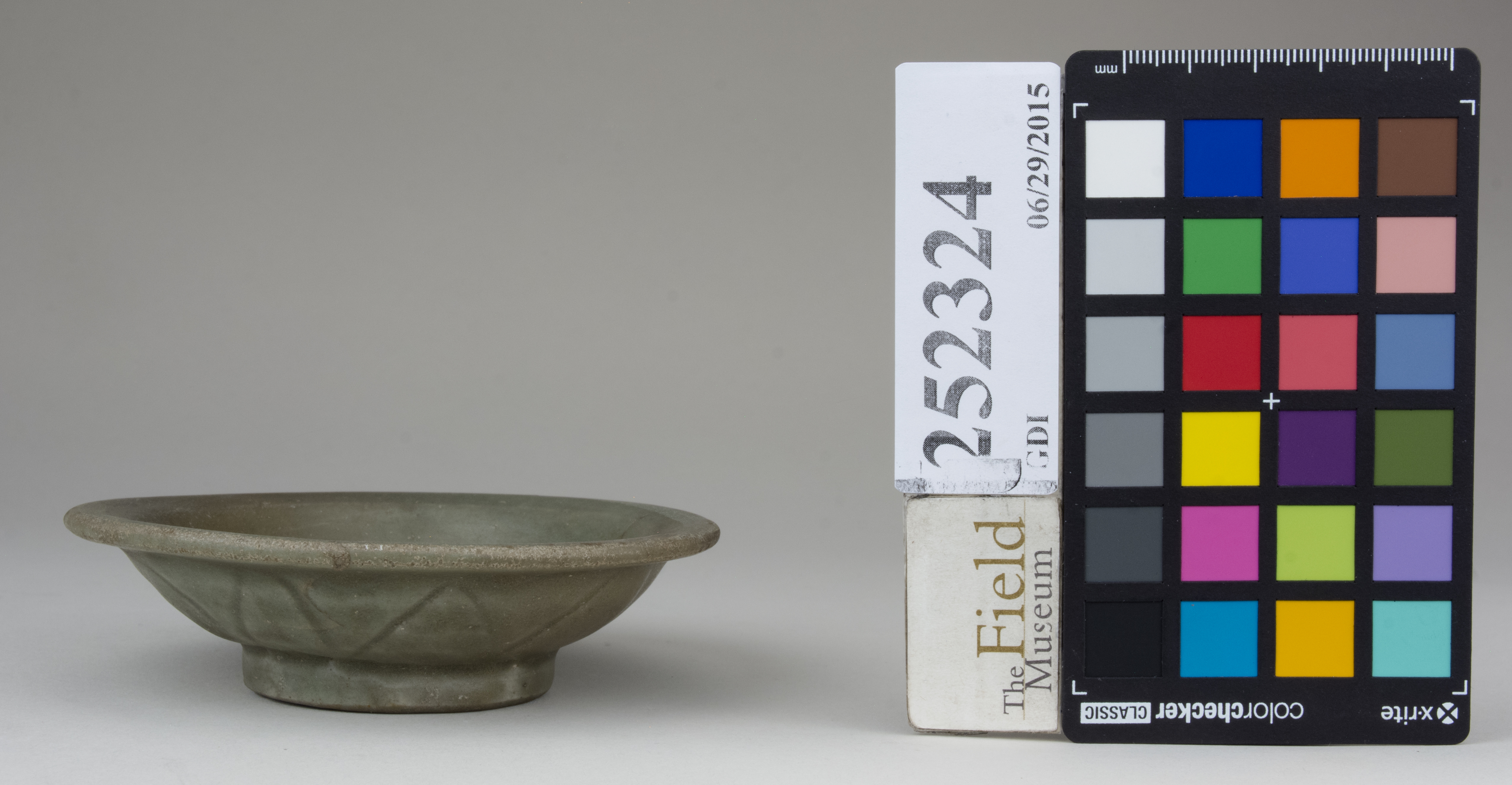 Right (c) Field Museum of Natural History - CC BY-NC 4.0