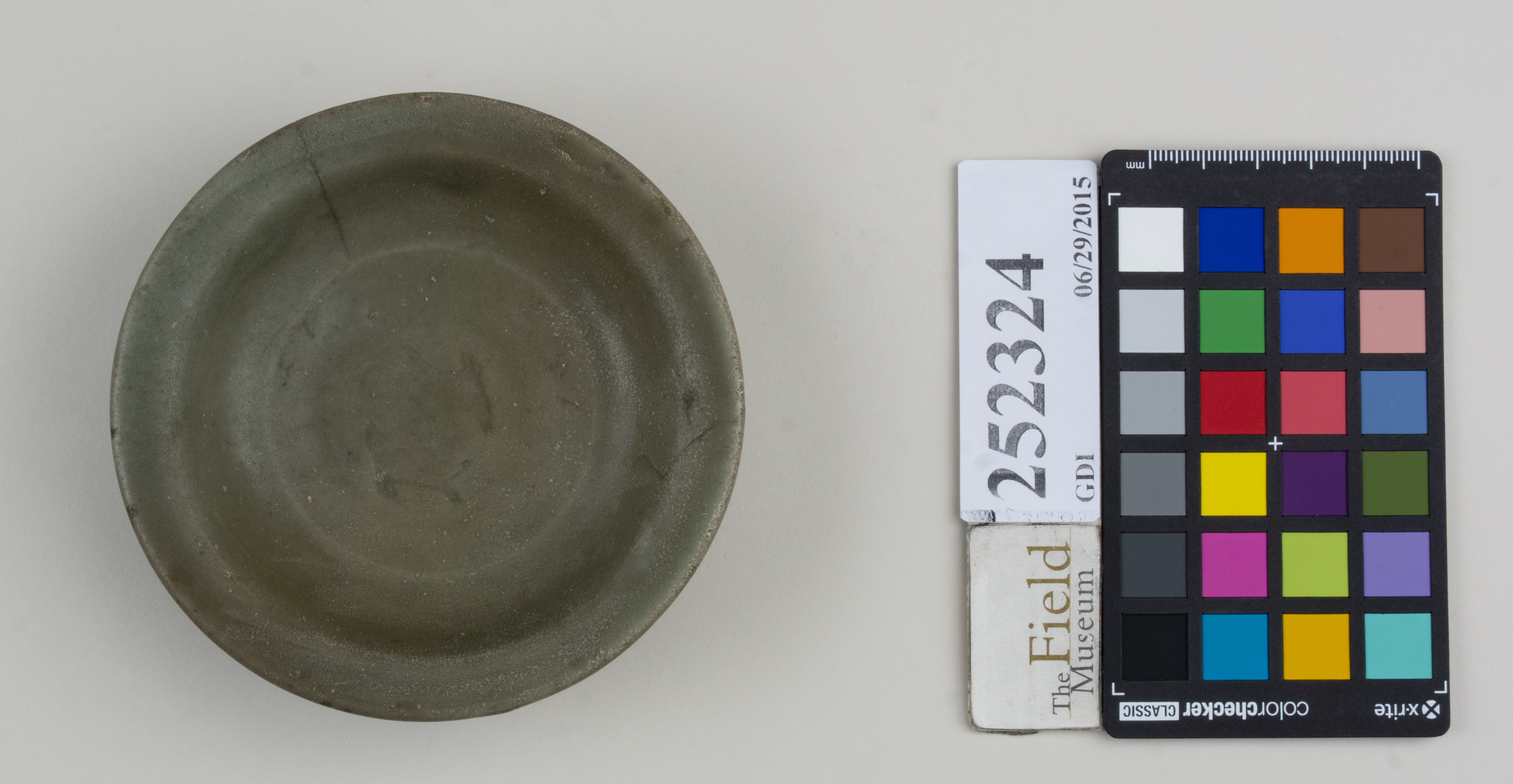 Top (c) Field Museum of Natural History - CC BY-NC 4.0