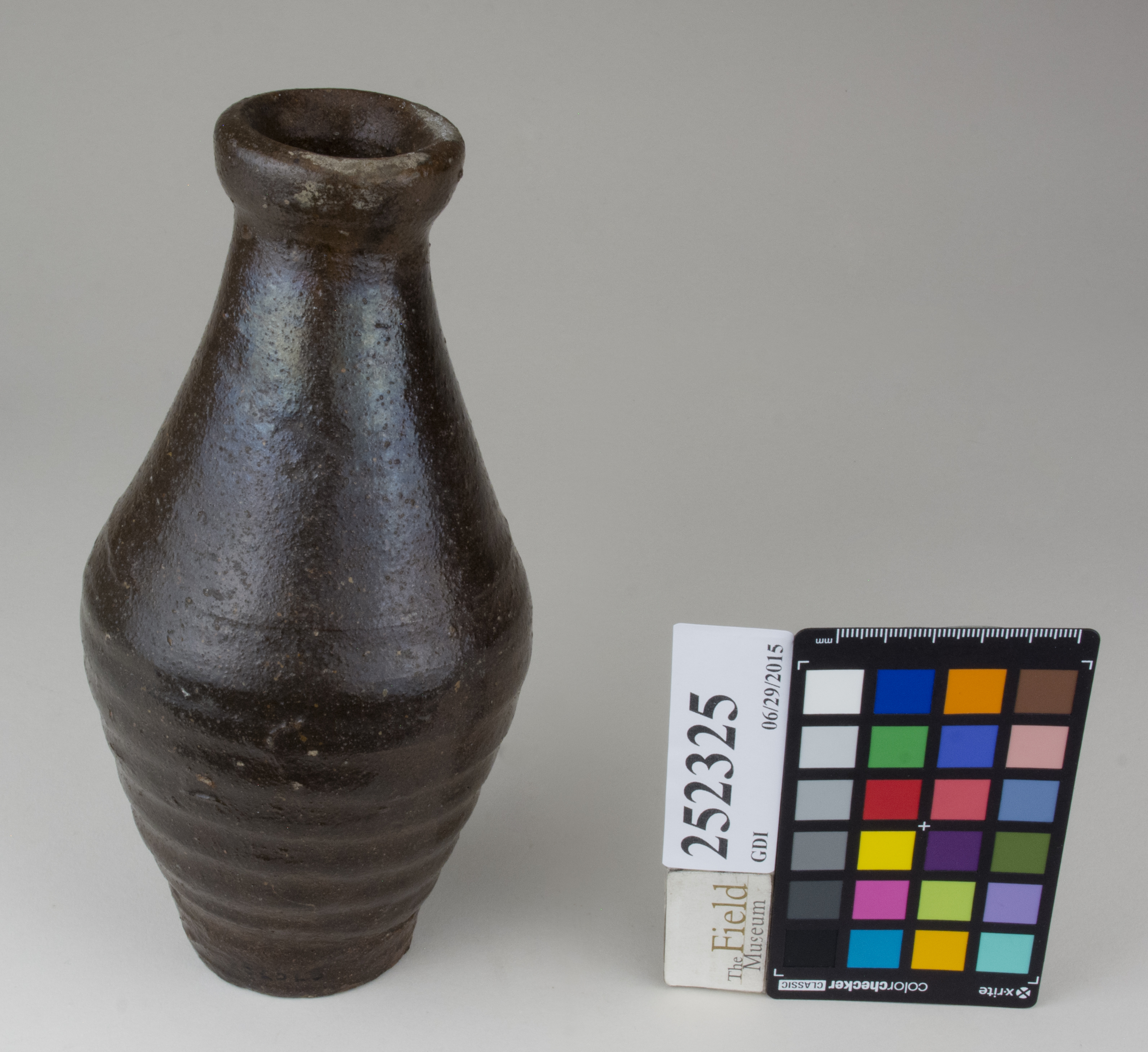 FrontAngle (c) Field Museum of Natural History - CC BY-NC 4.0