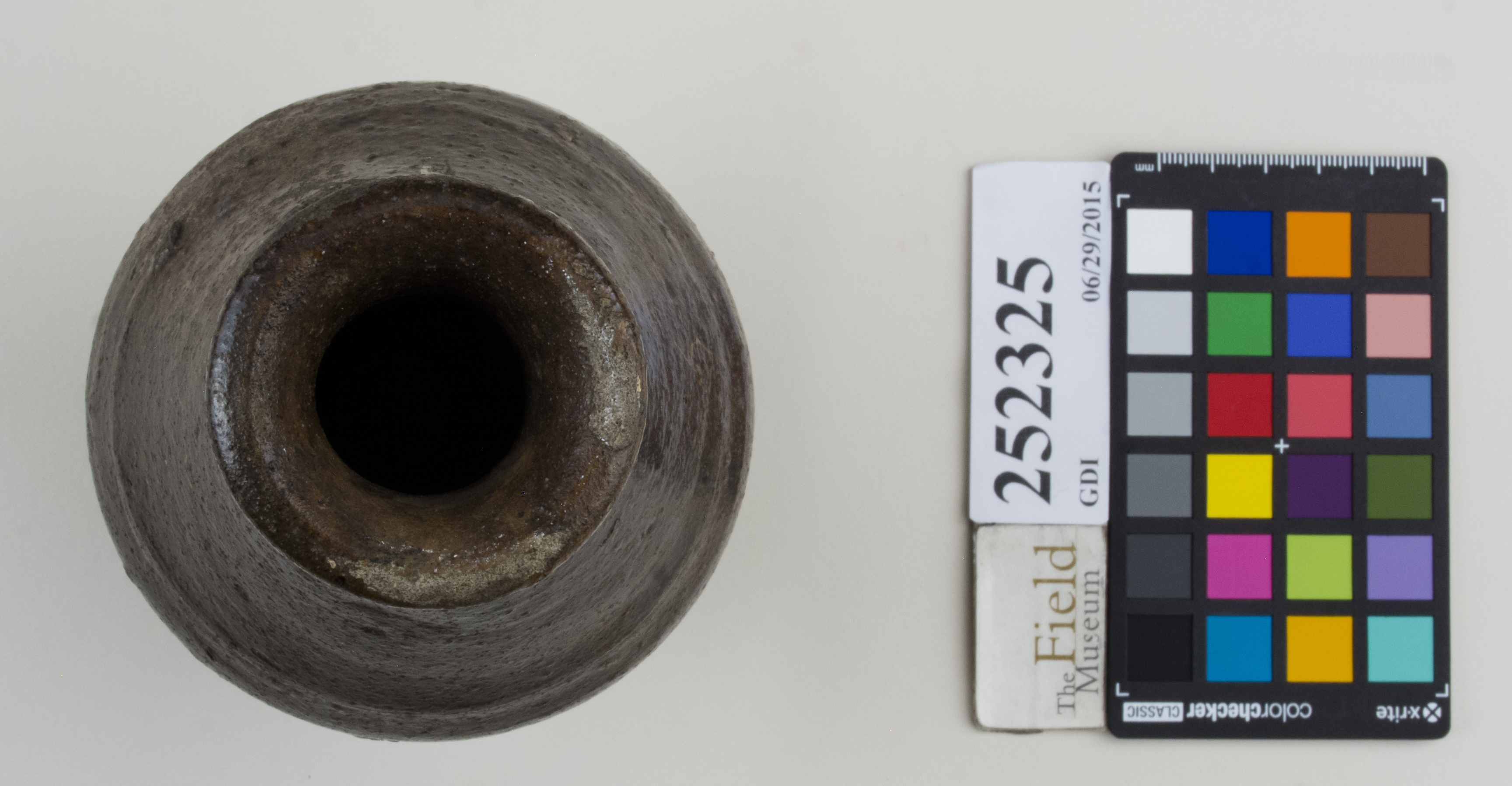 Top (c) Field Museum of Natural History - CC BY-NC 4.0