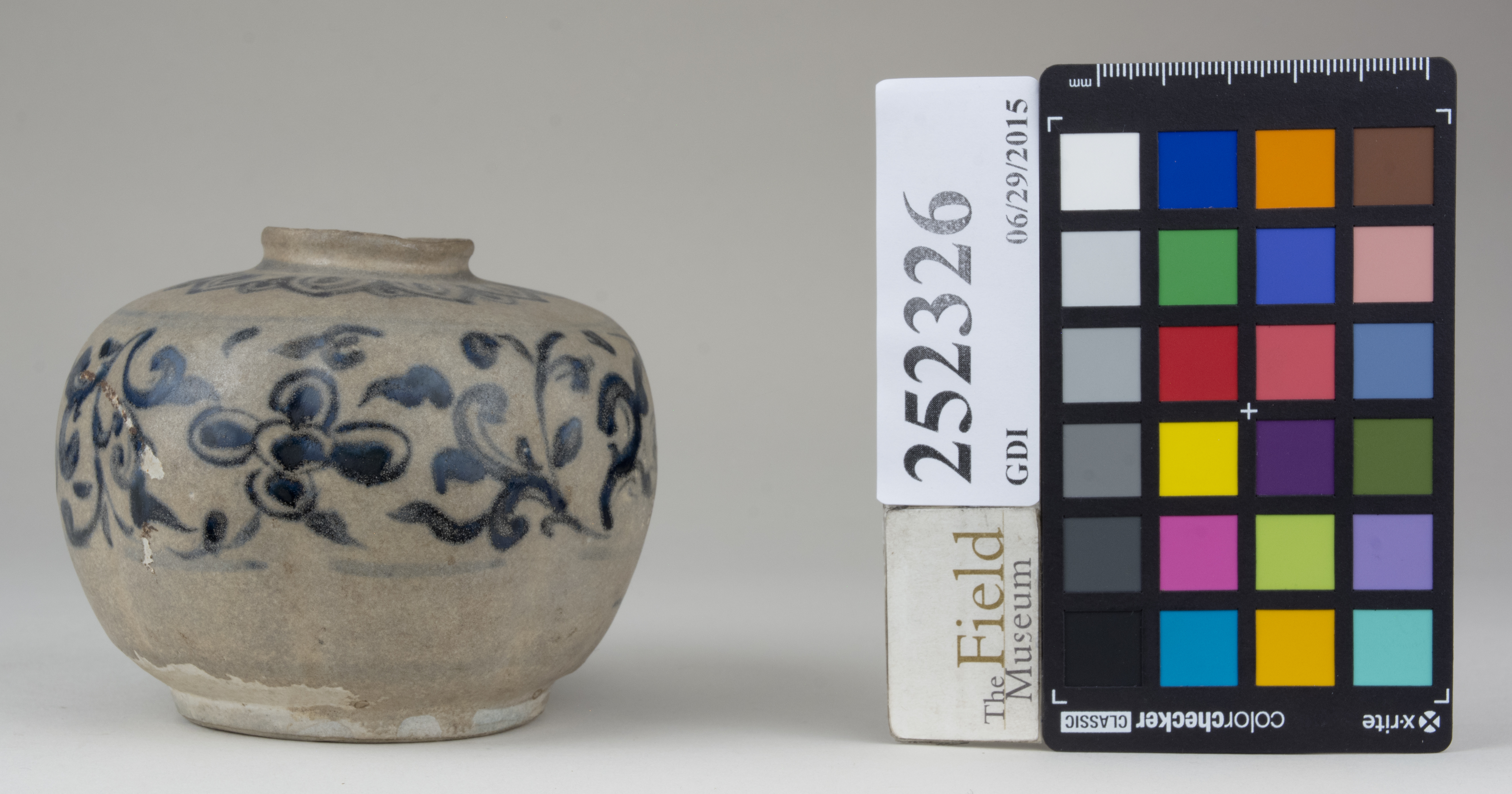 Front (c) Field Museum of Natural History - CC BY-NC 4.0