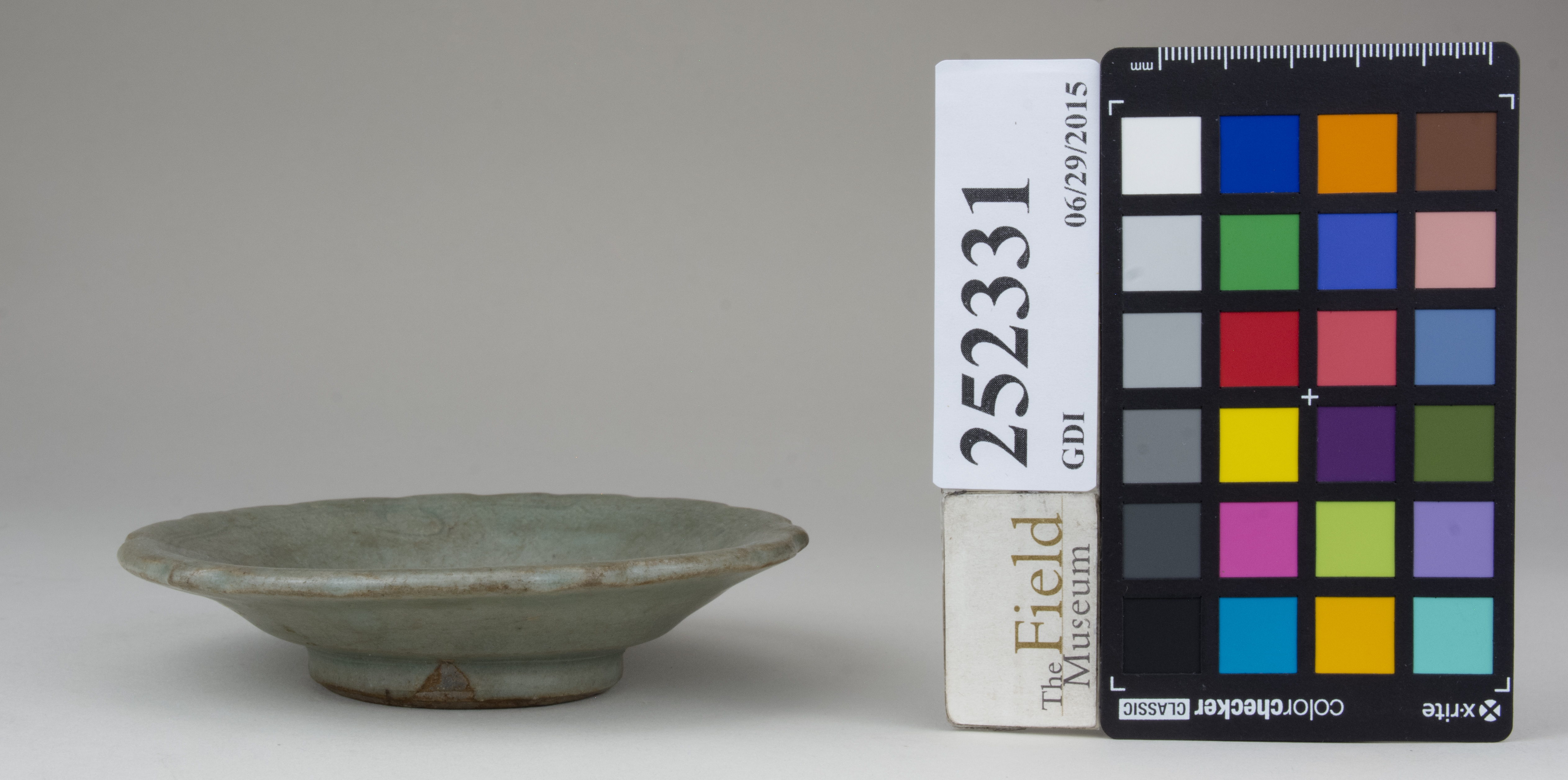 reference image, back (c) Field Museum of Natural History - CC BY-NC 4.0