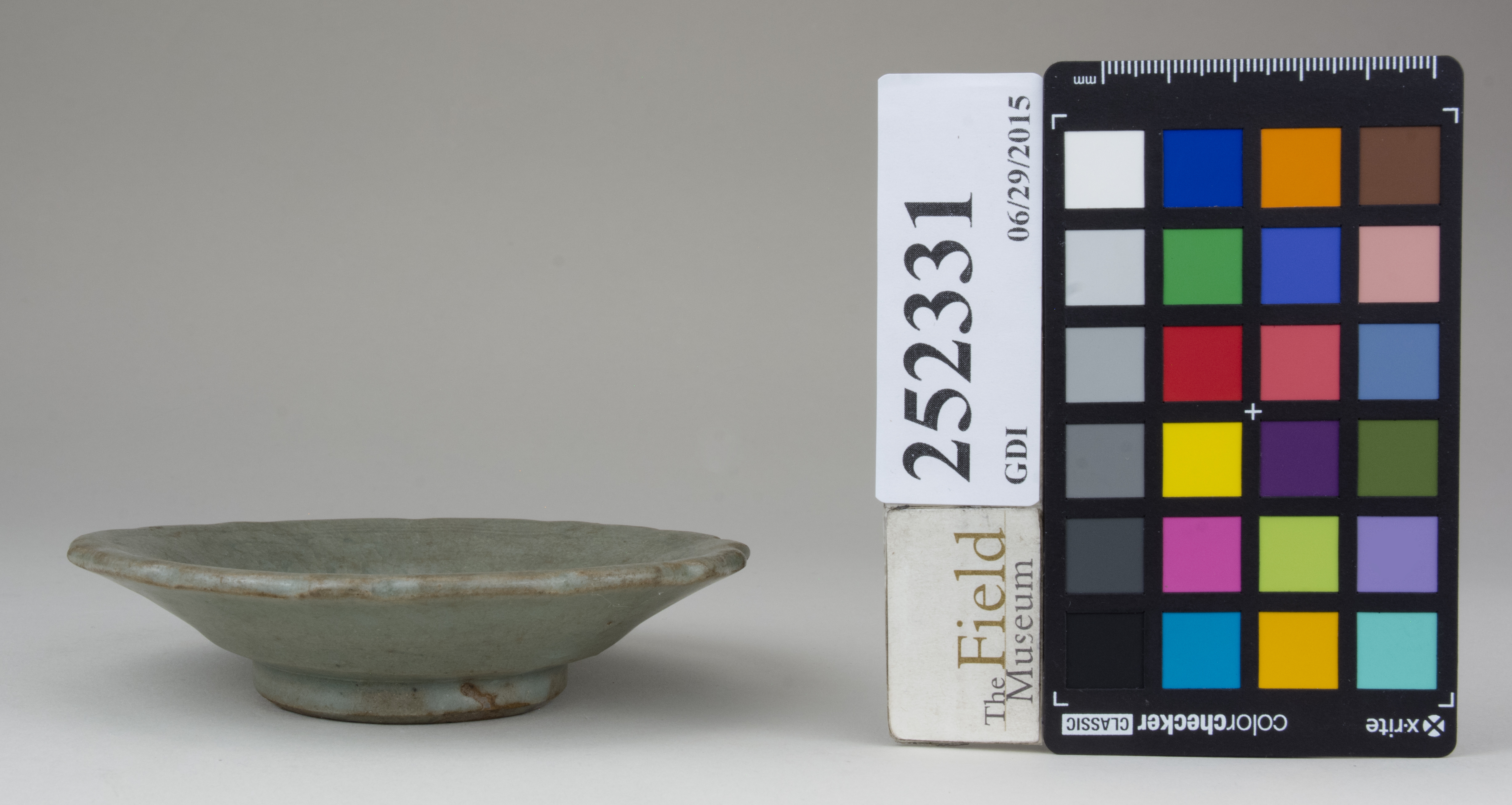 Right (c) Field Museum of Natural History - CC BY-NC 4.0