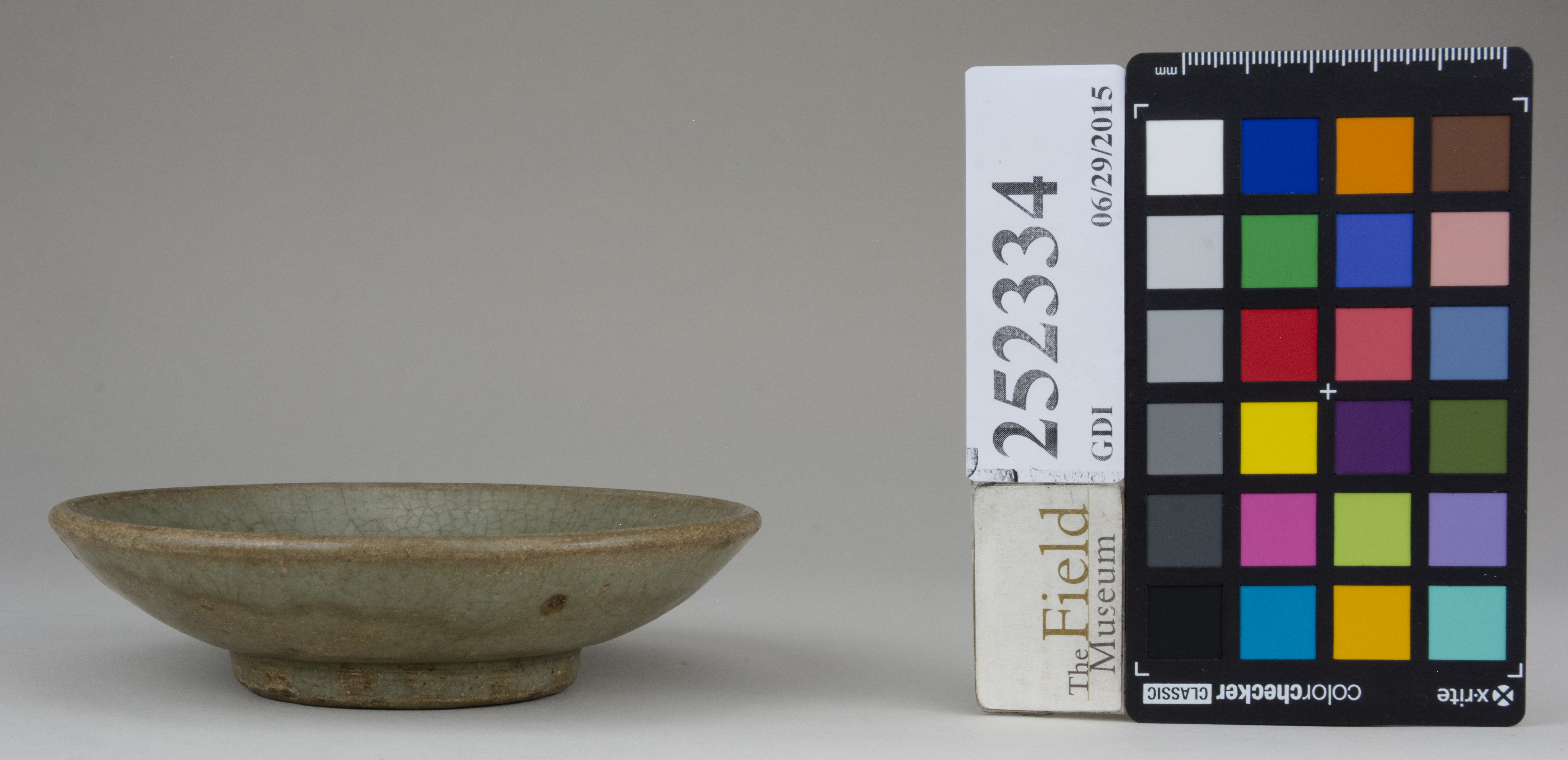 reference image, back (c) Field Museum of Natural History - CC BY-NC 4.0