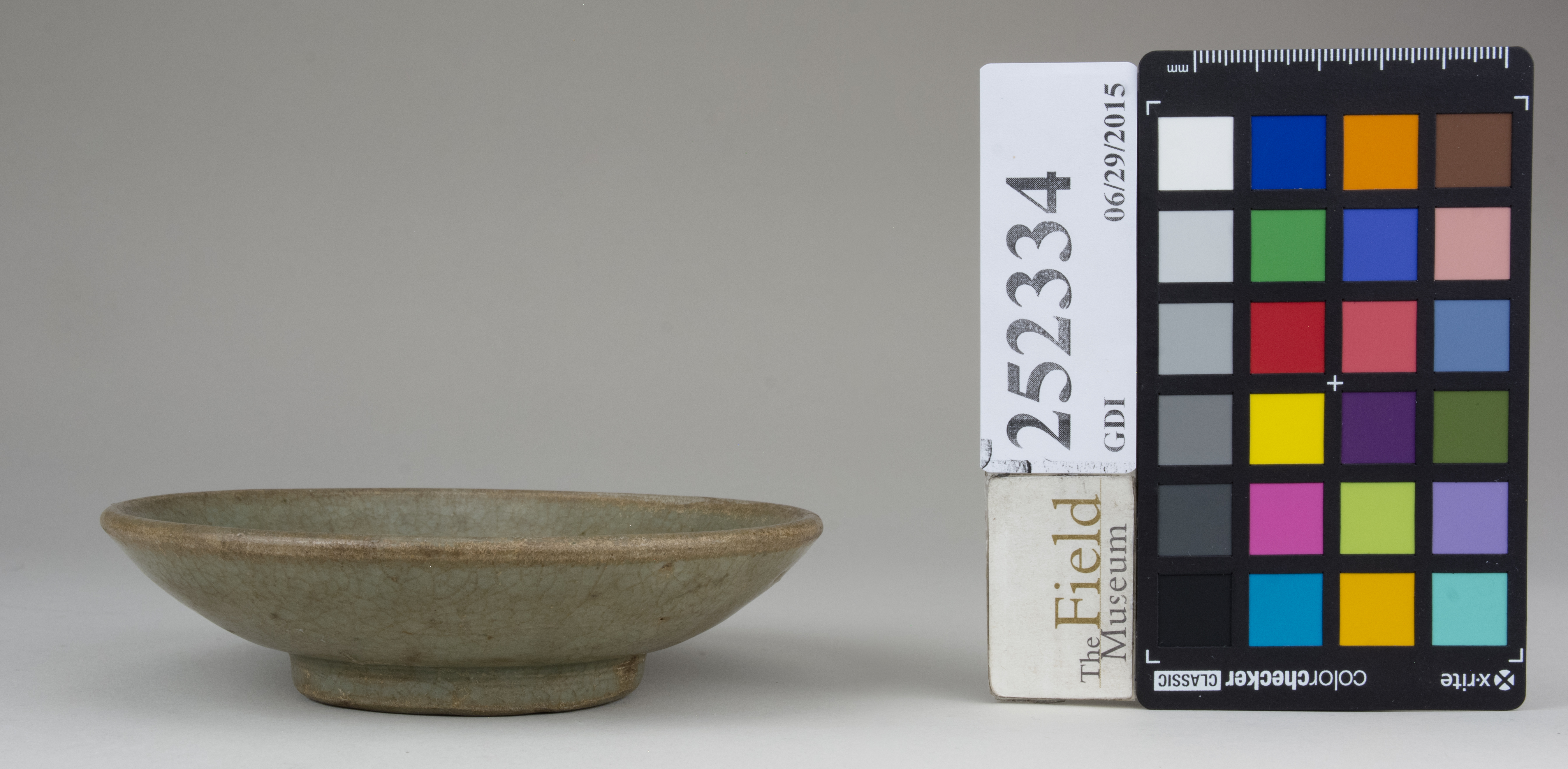 Front (c) Field Museum of Natural History - CC BY-NC 4.0