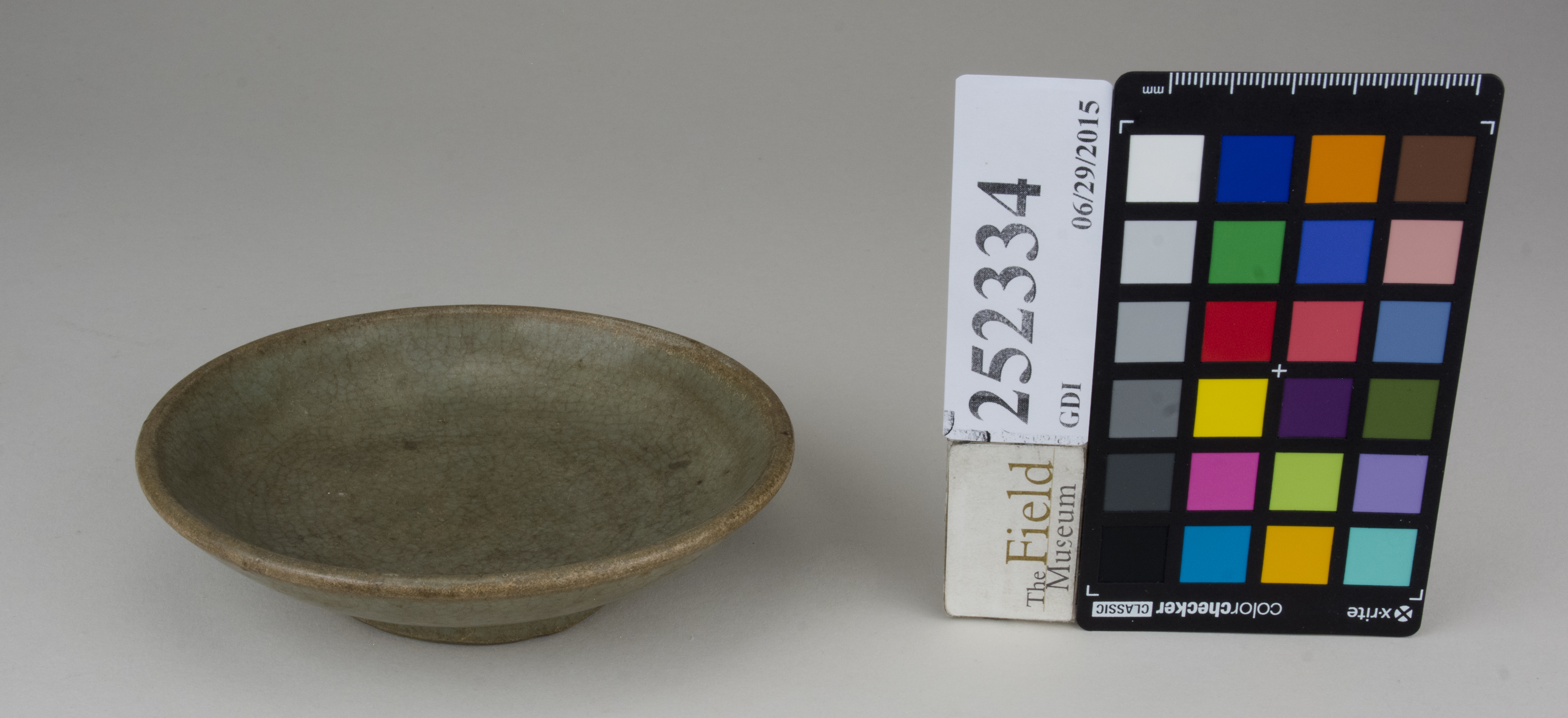 FrontAngle (c) Field Museum of Natural History - CC BY-NC 4.0