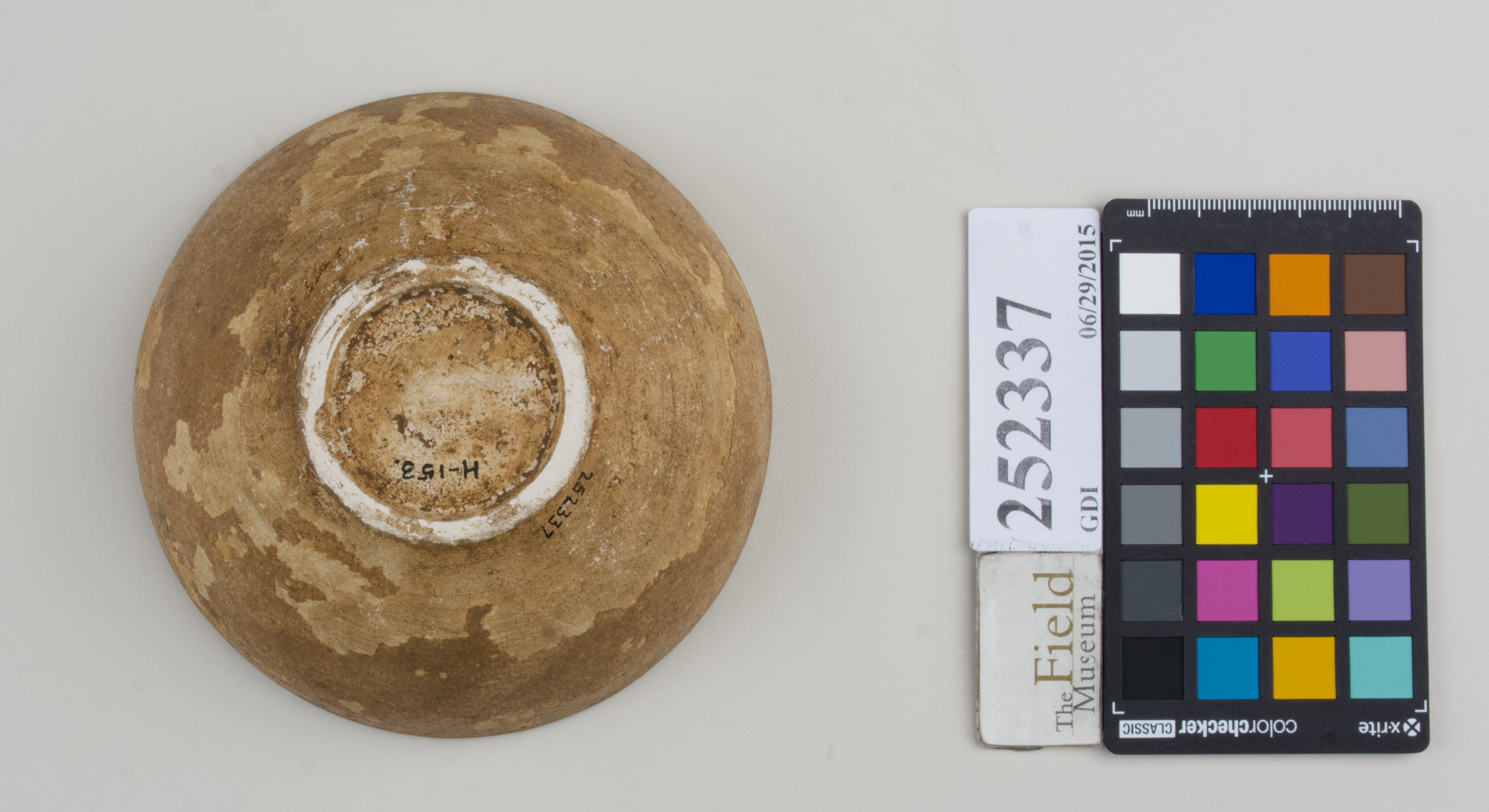 Bottom (c) Field Museum of Natural History - CC BY-NC 4.0