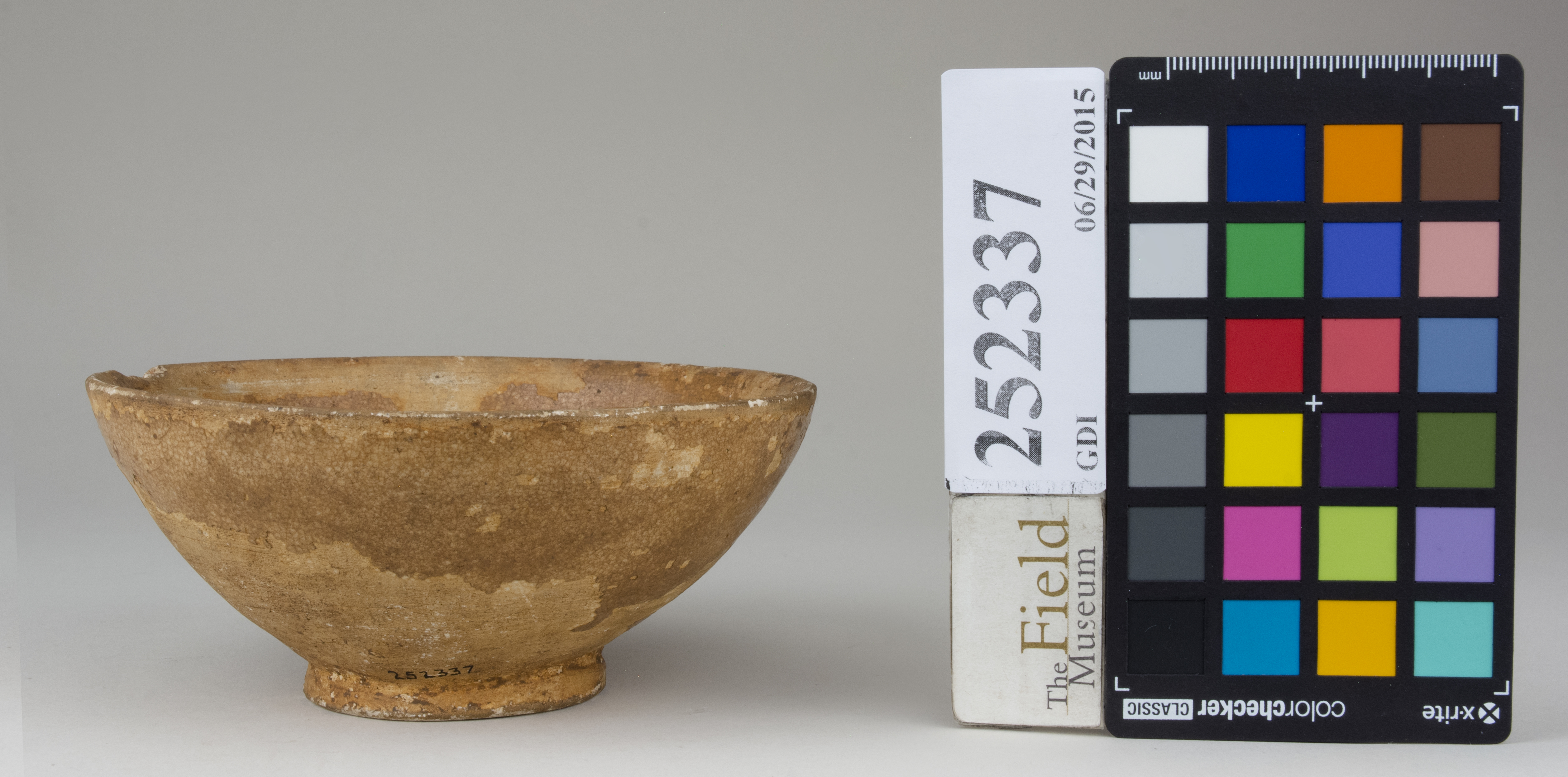 Front (c) Field Museum of Natural History - CC BY-NC 4.0