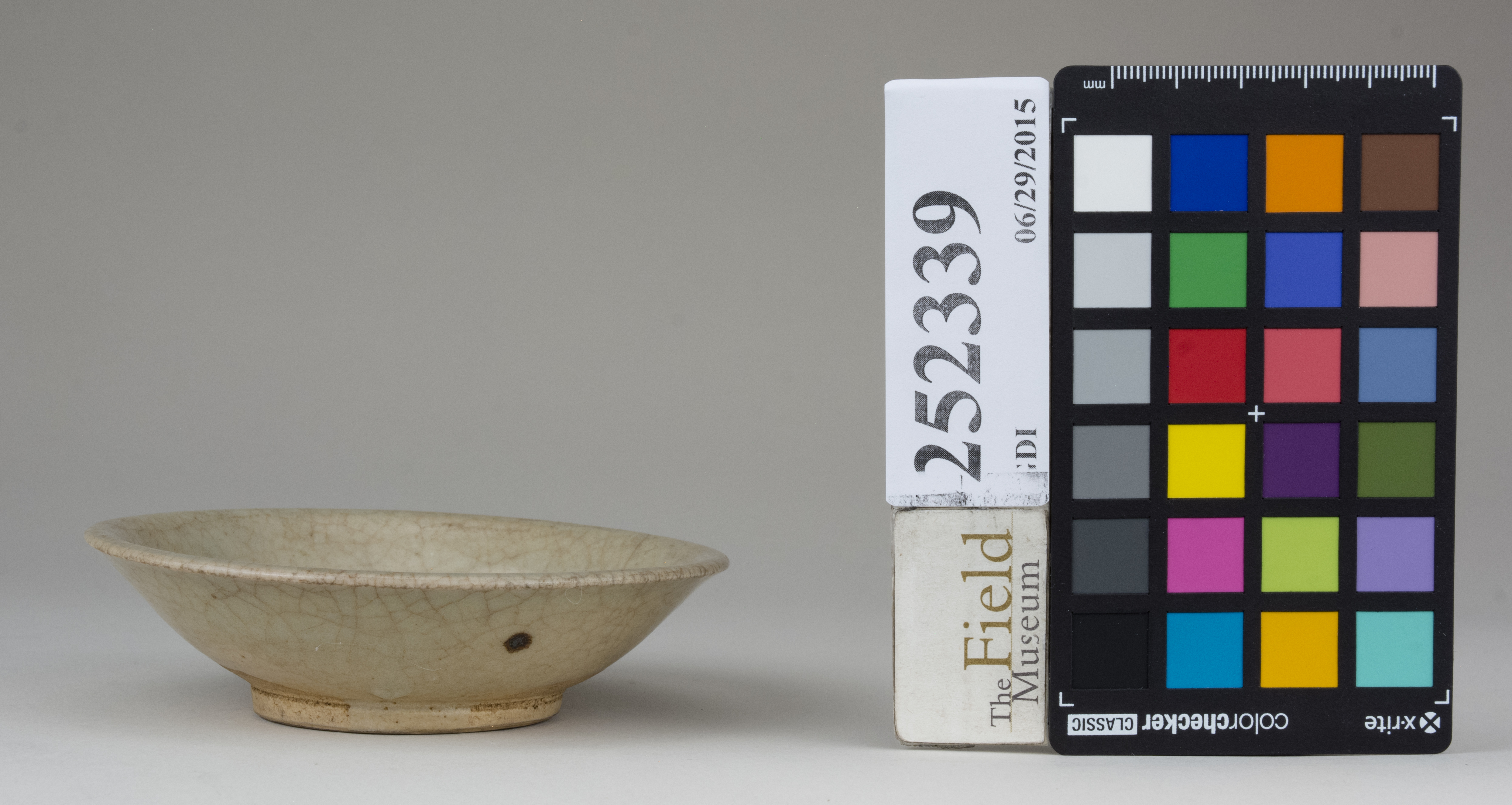 reference image, back (c) Field Museum of Natural History - CC BY-NC 4.0