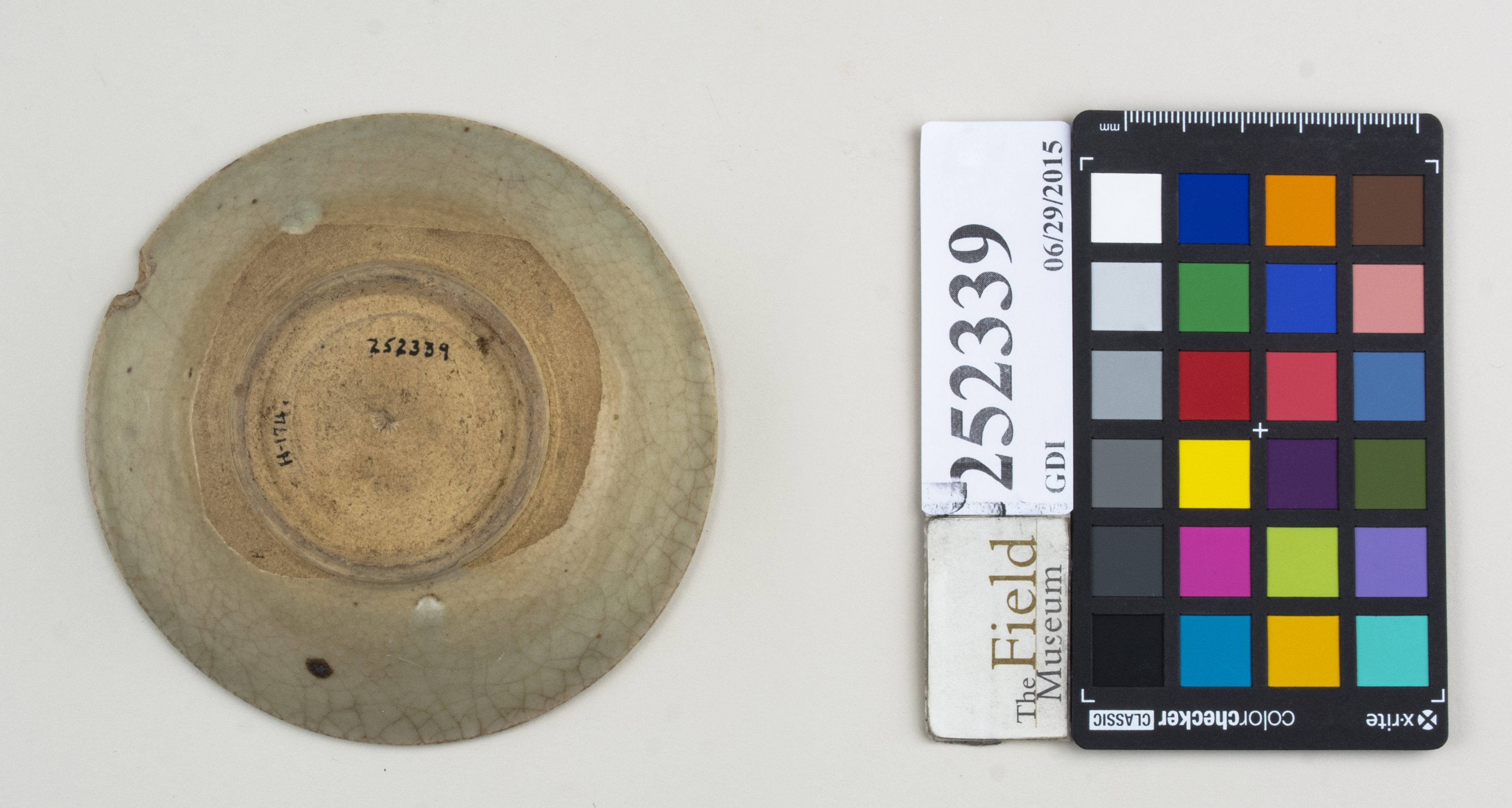 Bottom (c) Field Museum of Natural History - CC BY-NC 4.0