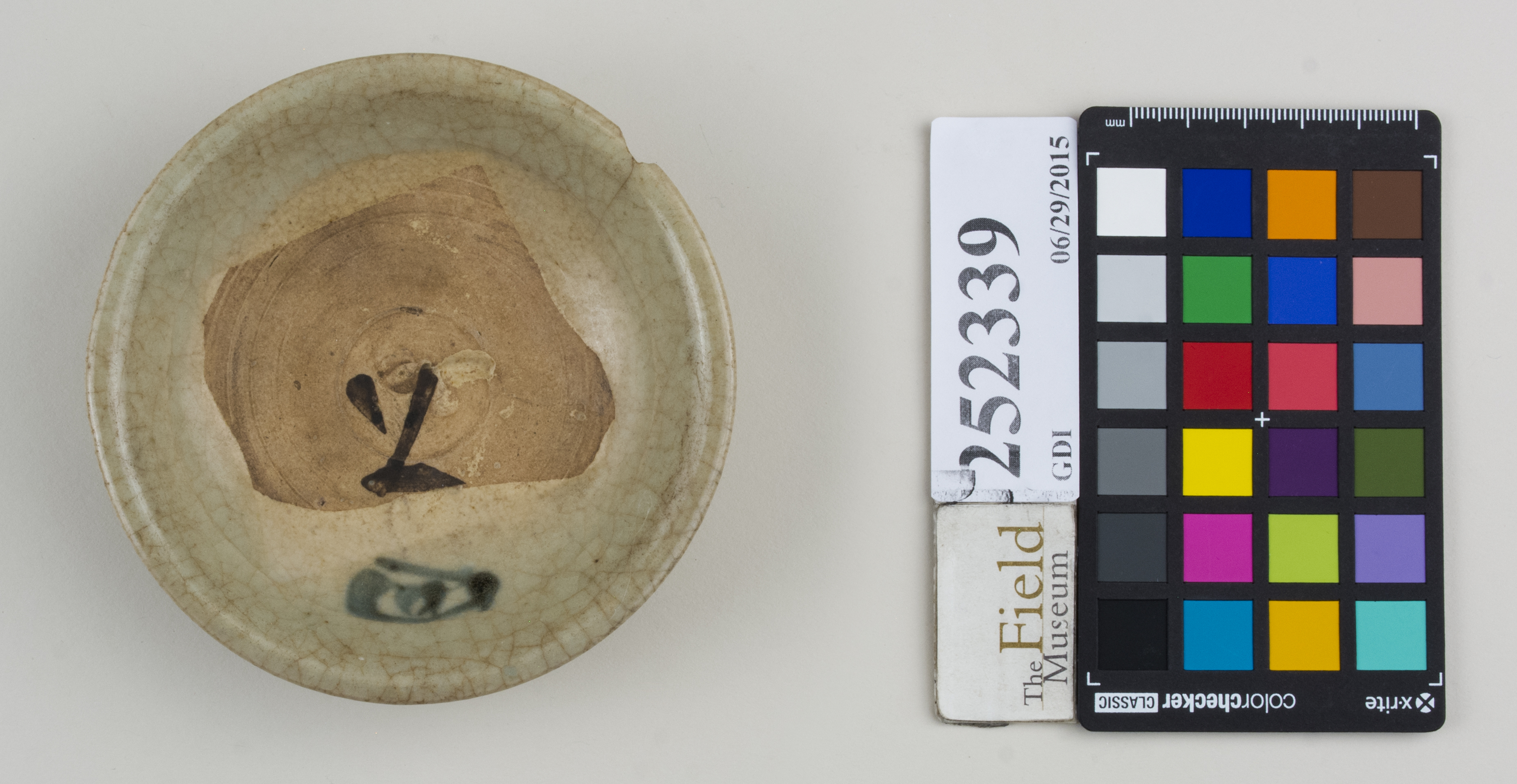 Top (c) Field Museum of Natural History - CC BY-NC 4.0