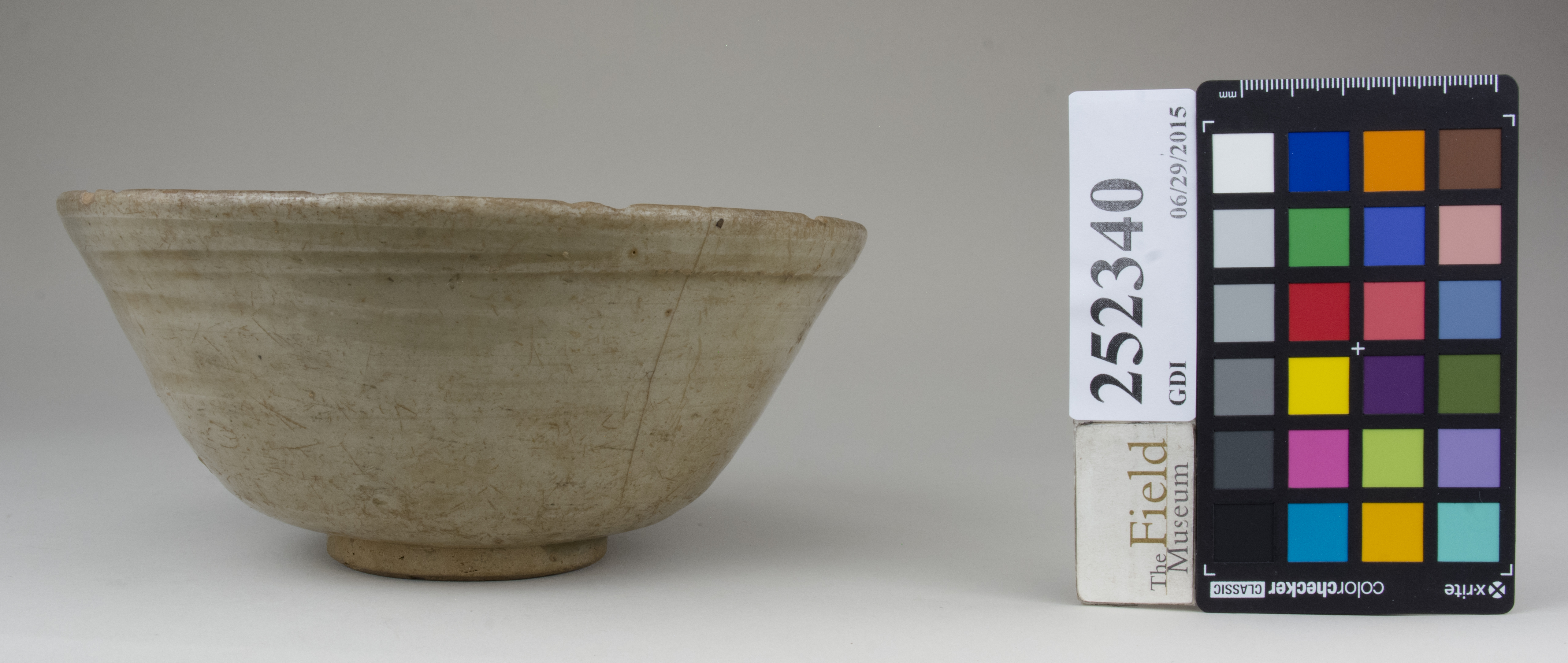 reference image, back (c) Field Museum of Natural History - CC BY-NC 4.0