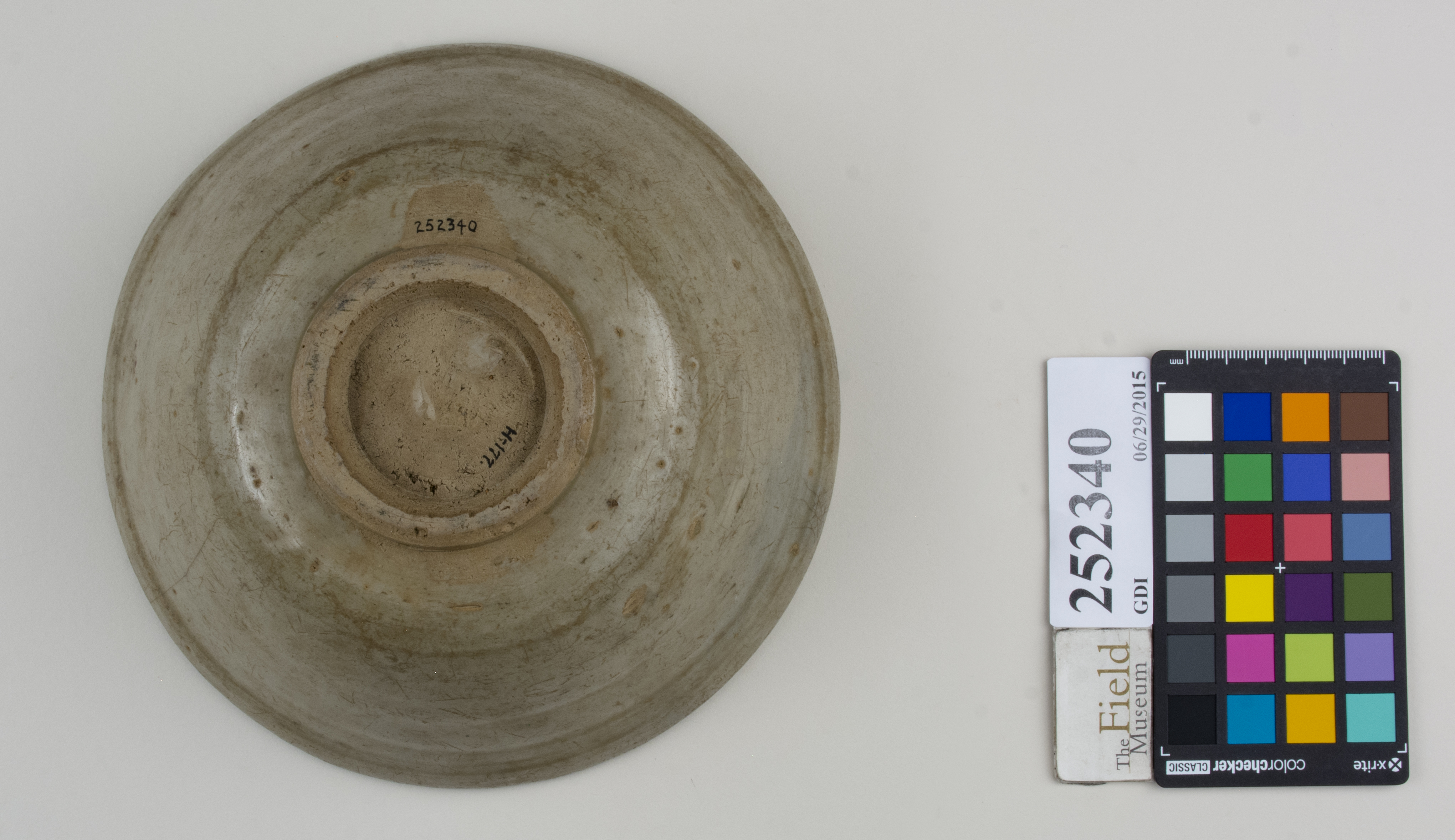 Bottom (c) Field Museum of Natural History - CC BY-NC 4.0