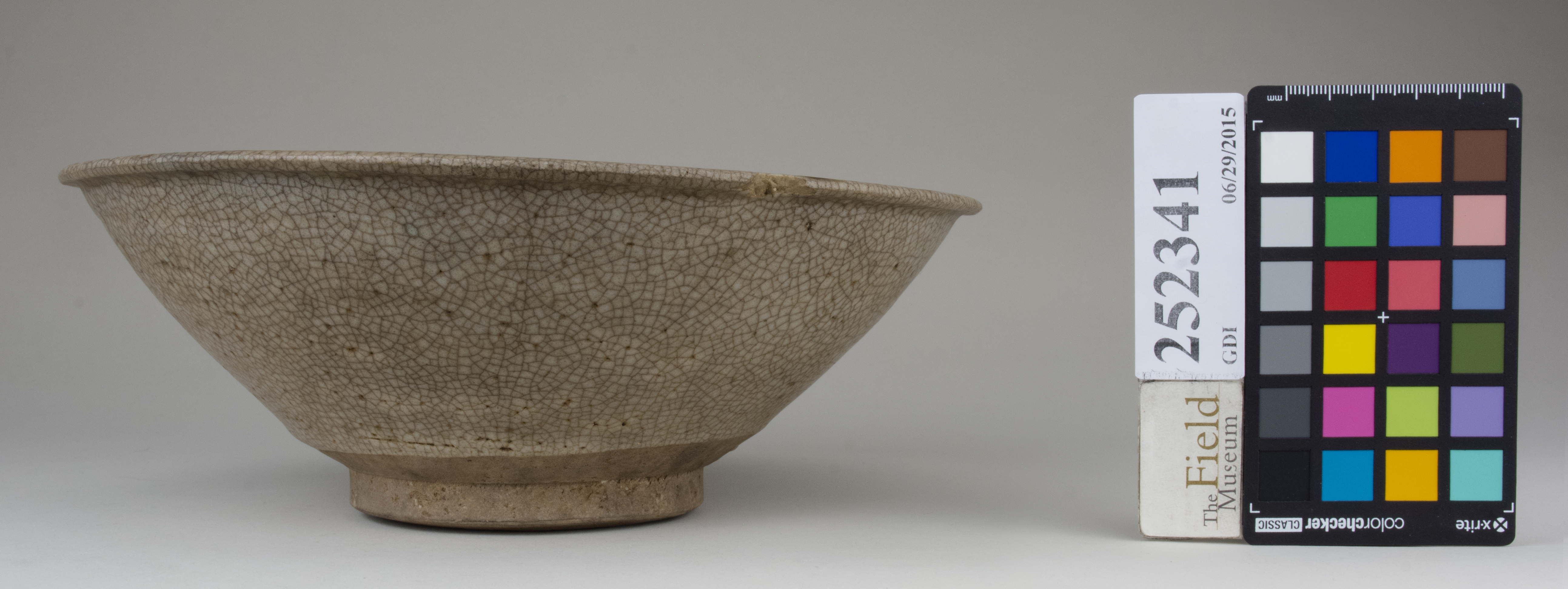 reference image, back (c) Field Museum of Natural History - CC BY-NC 4.0