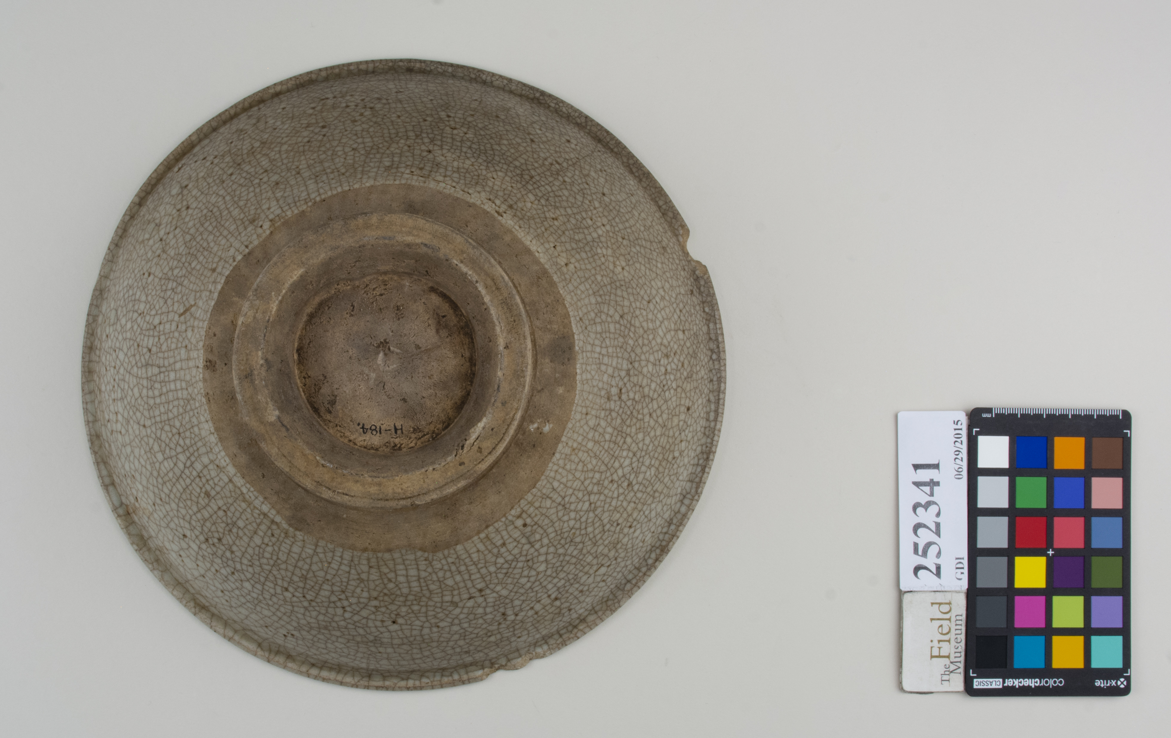 Bottom (c) Field Museum of Natural History - CC BY-NC 4.0