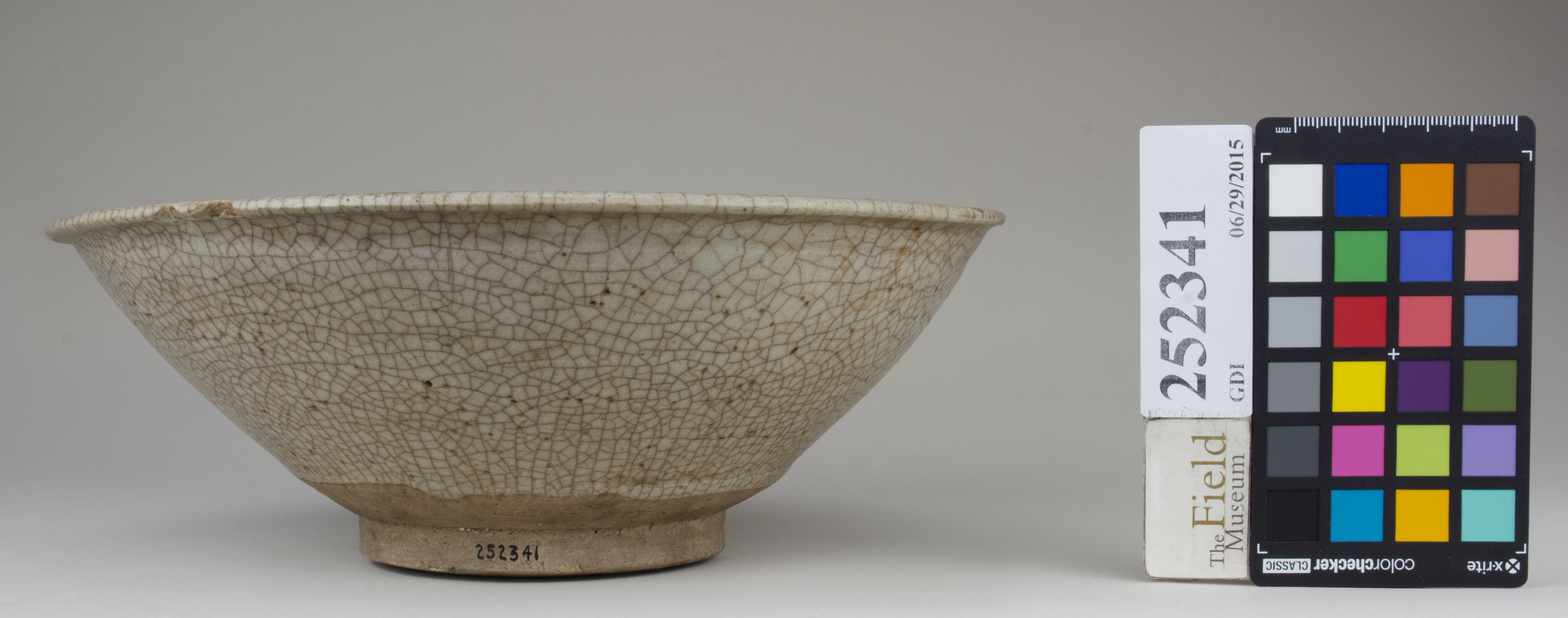 Front (c) Field Museum of Natural History - CC BY-NC 4.0