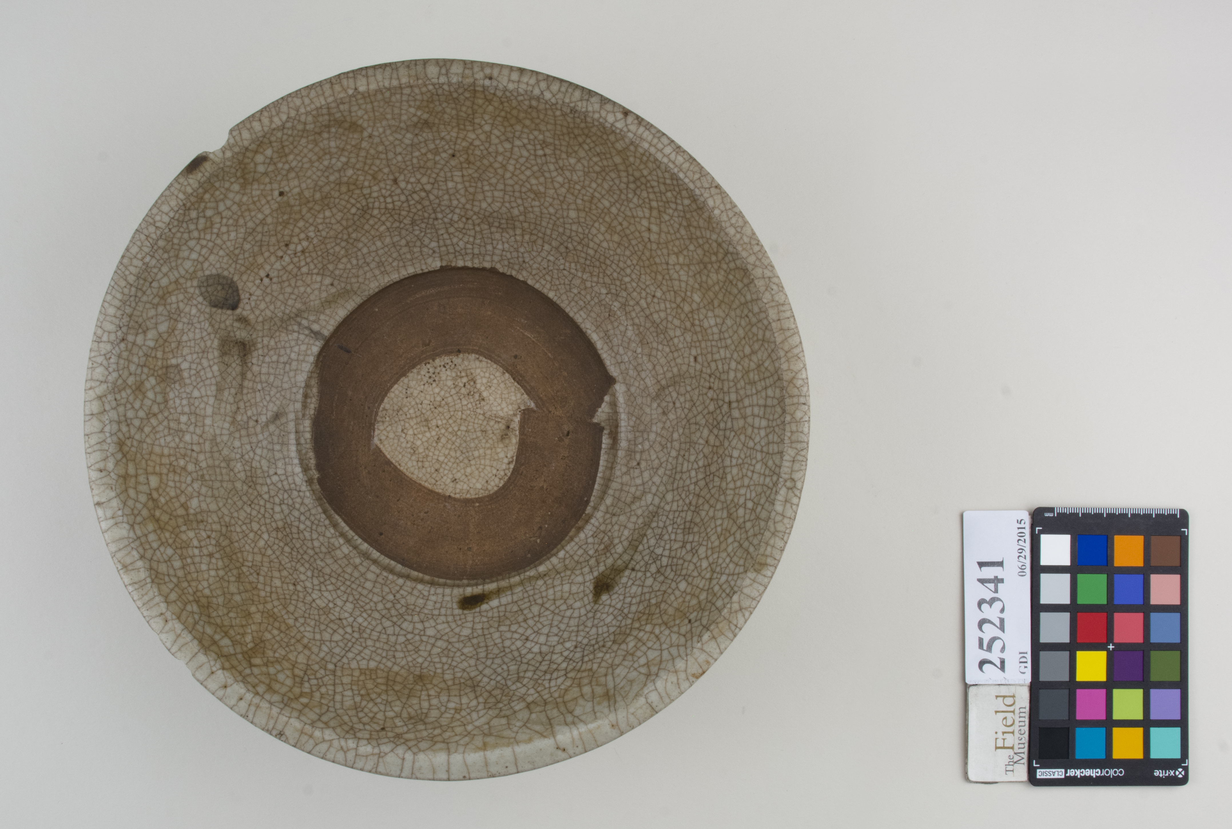 Top (c) Field Museum of Natural History - CC BY-NC 4.0