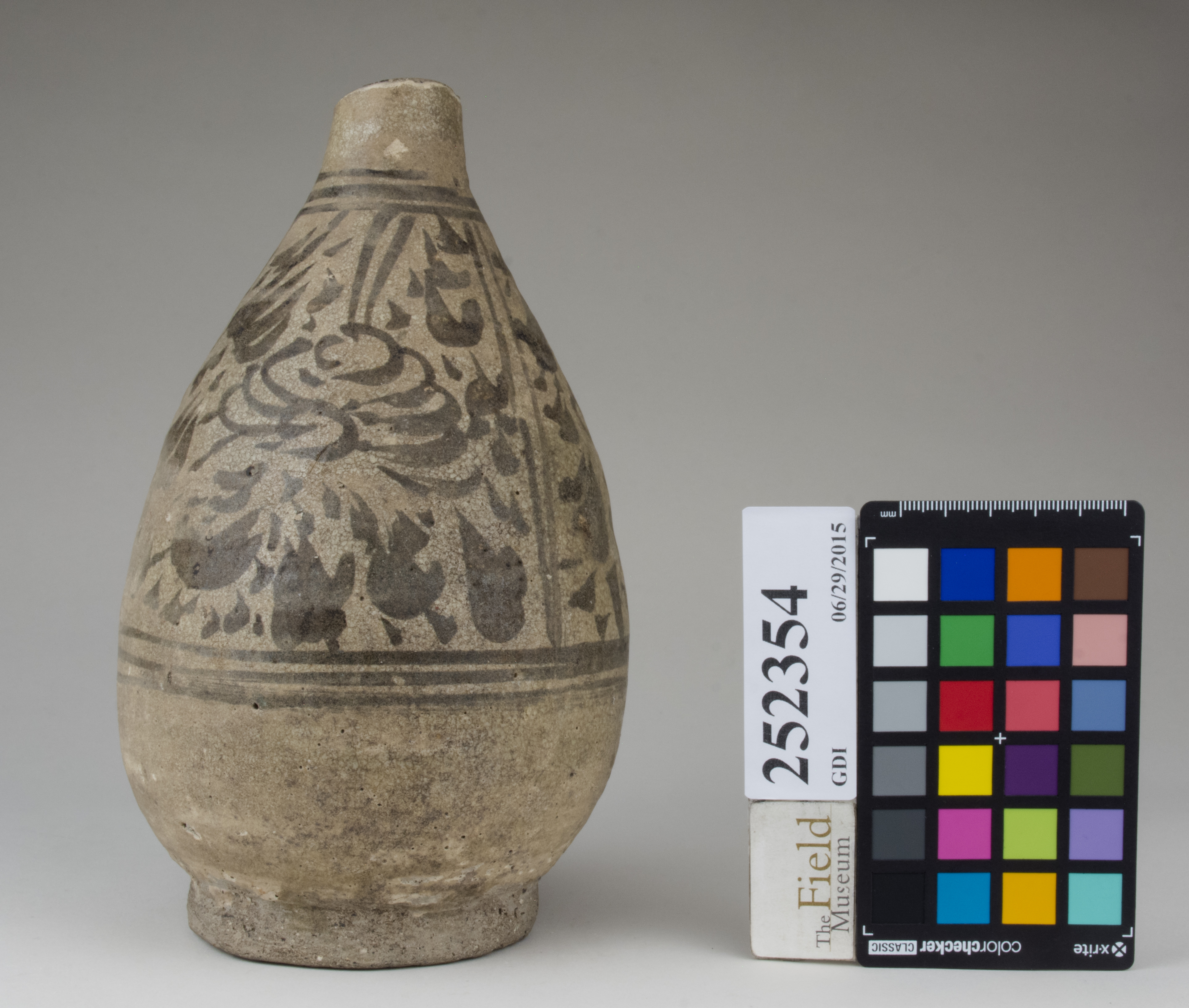 reference image, back (c) Field Museum of Natural History - CC BY-NC 4.0