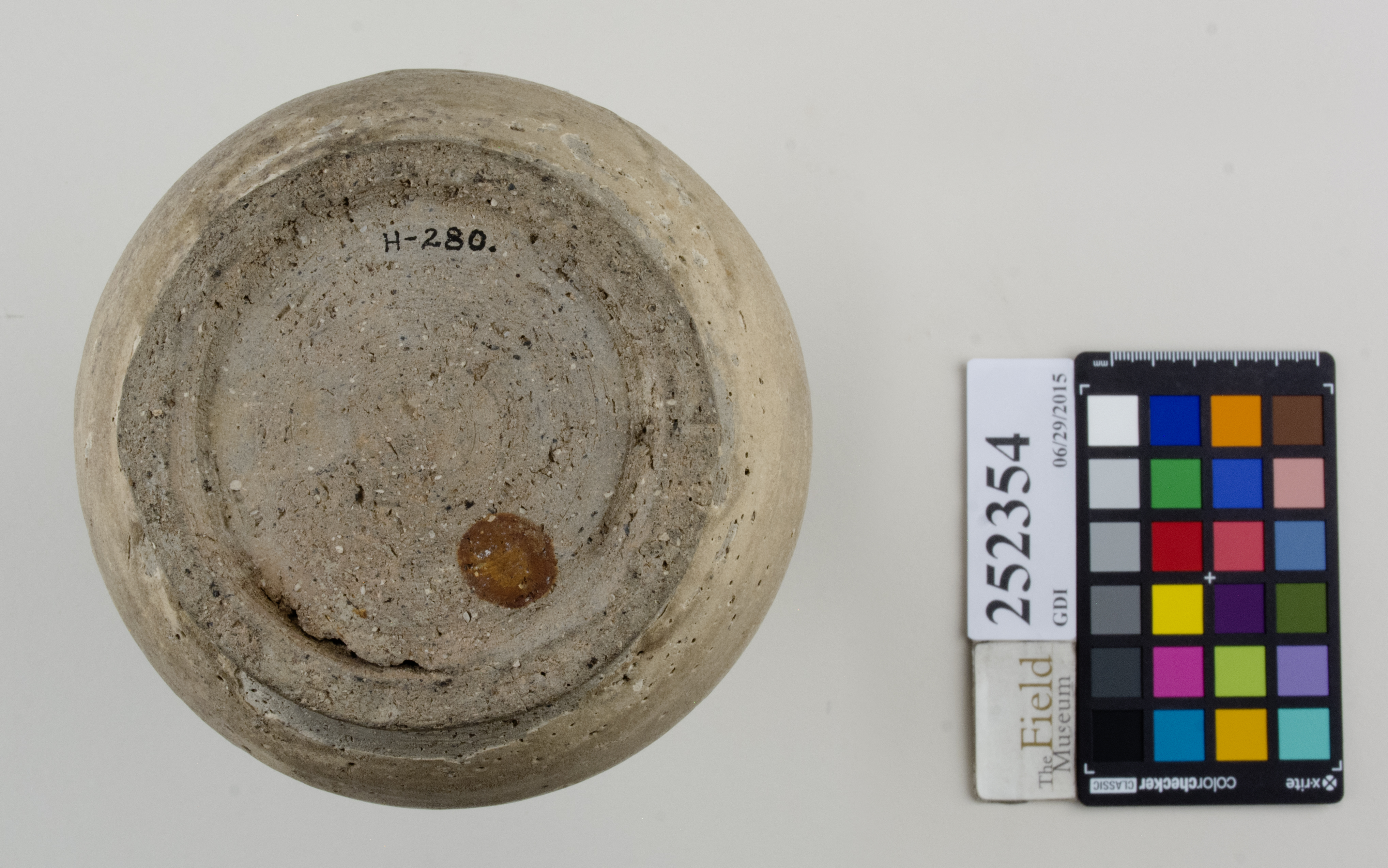 Bottom (c) Field Museum of Natural History - CC BY-NC 4.0