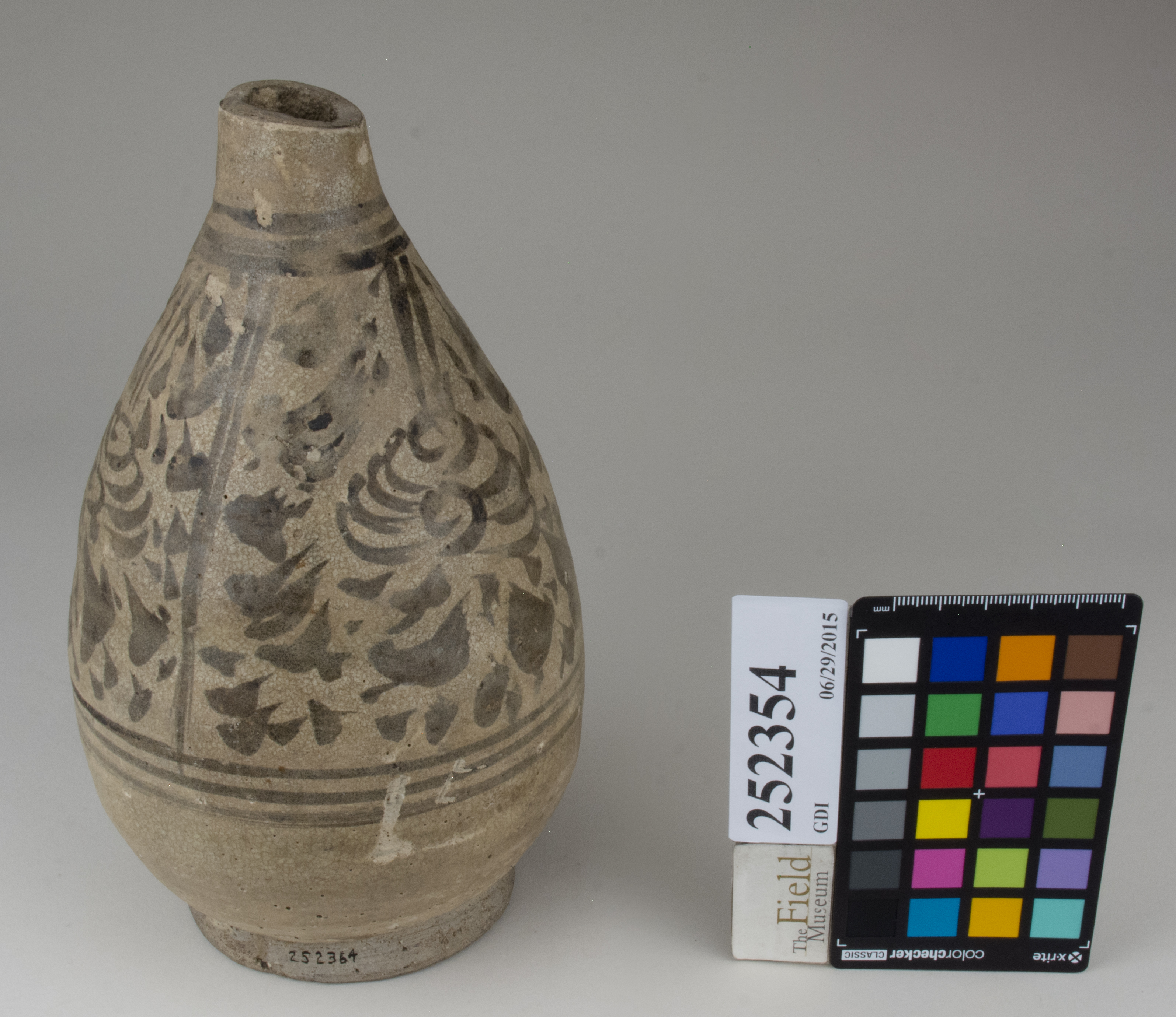 FrontAngle (c) Field Museum of Natural History - CC BY-NC 4.0