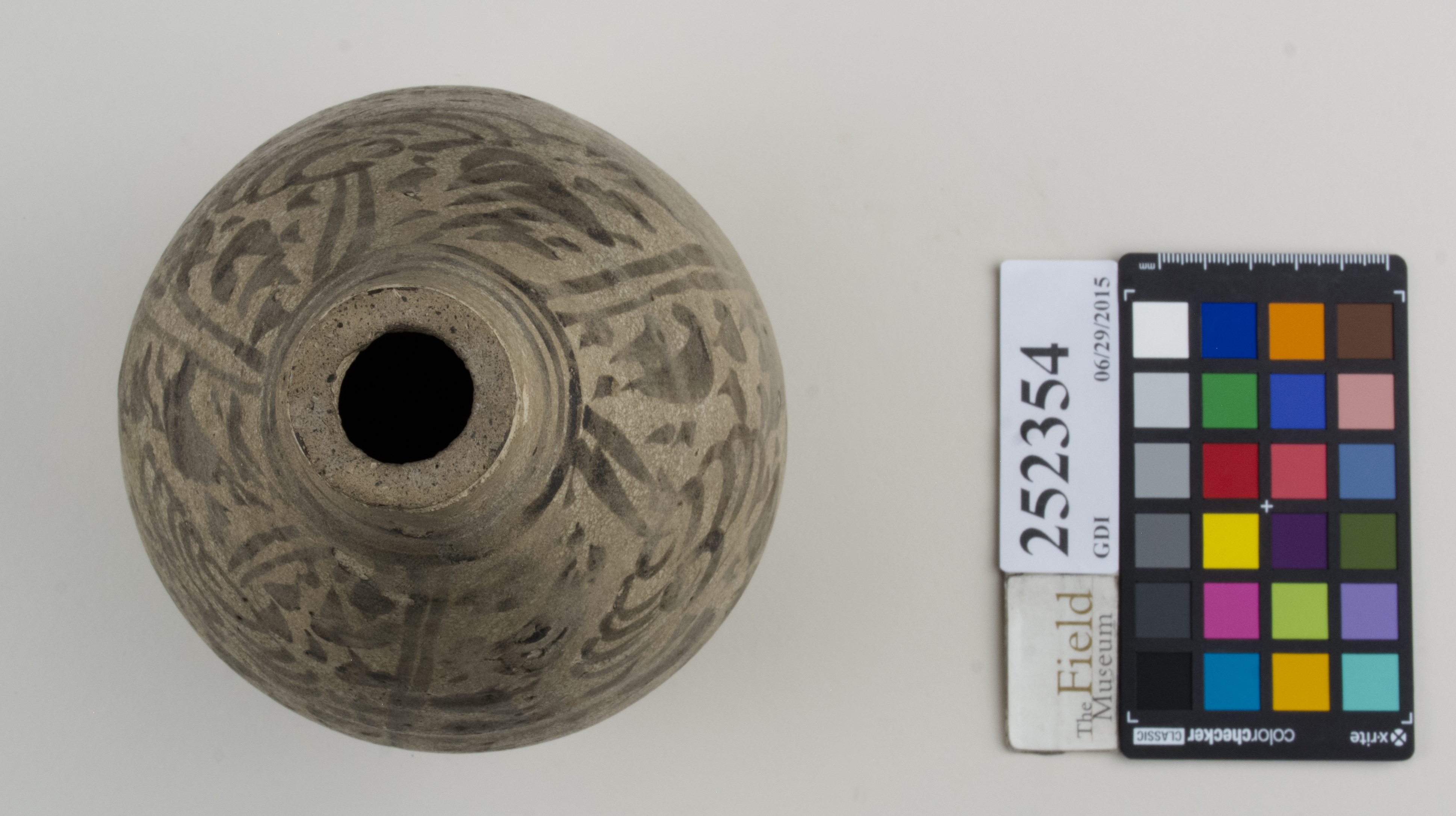 Top (c) Field Museum of Natural History - CC BY-NC 4.0