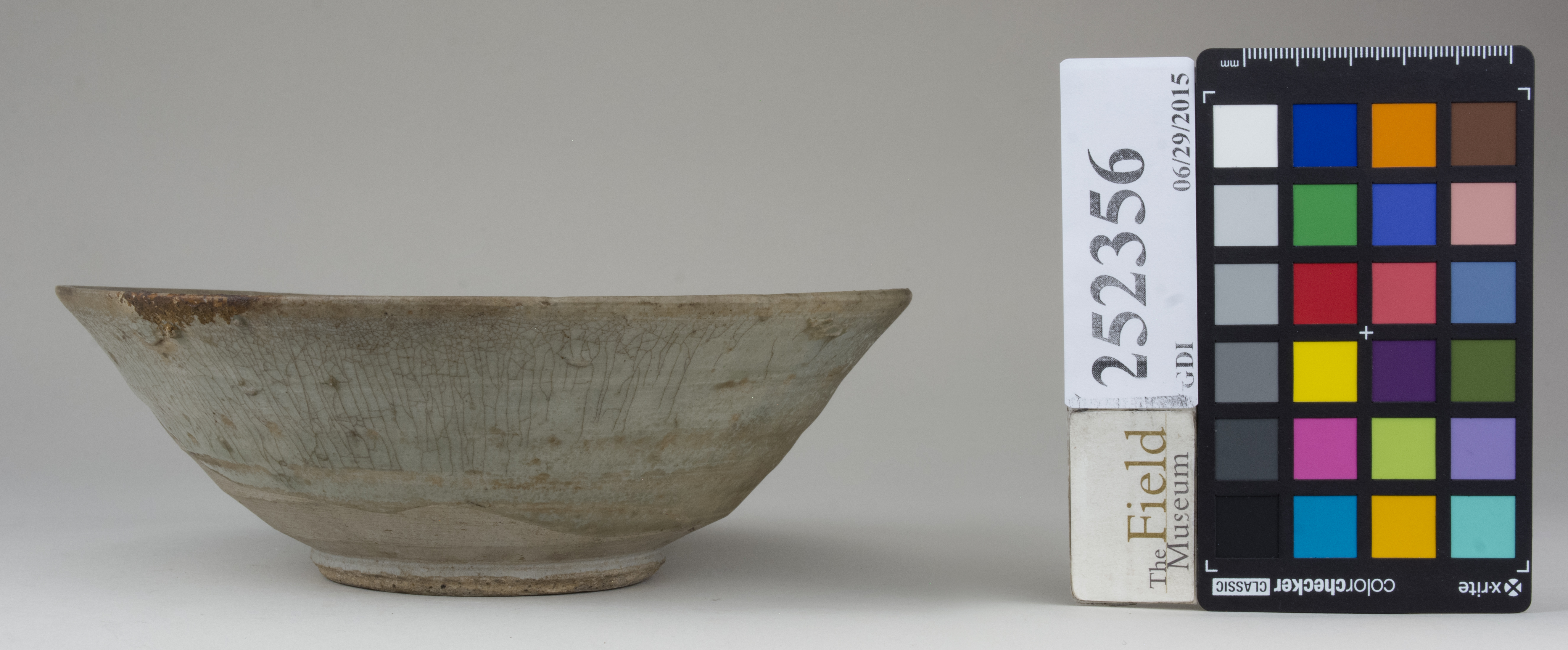 Front (c) Field Museum of Natural History - CC BY-NC 4.0