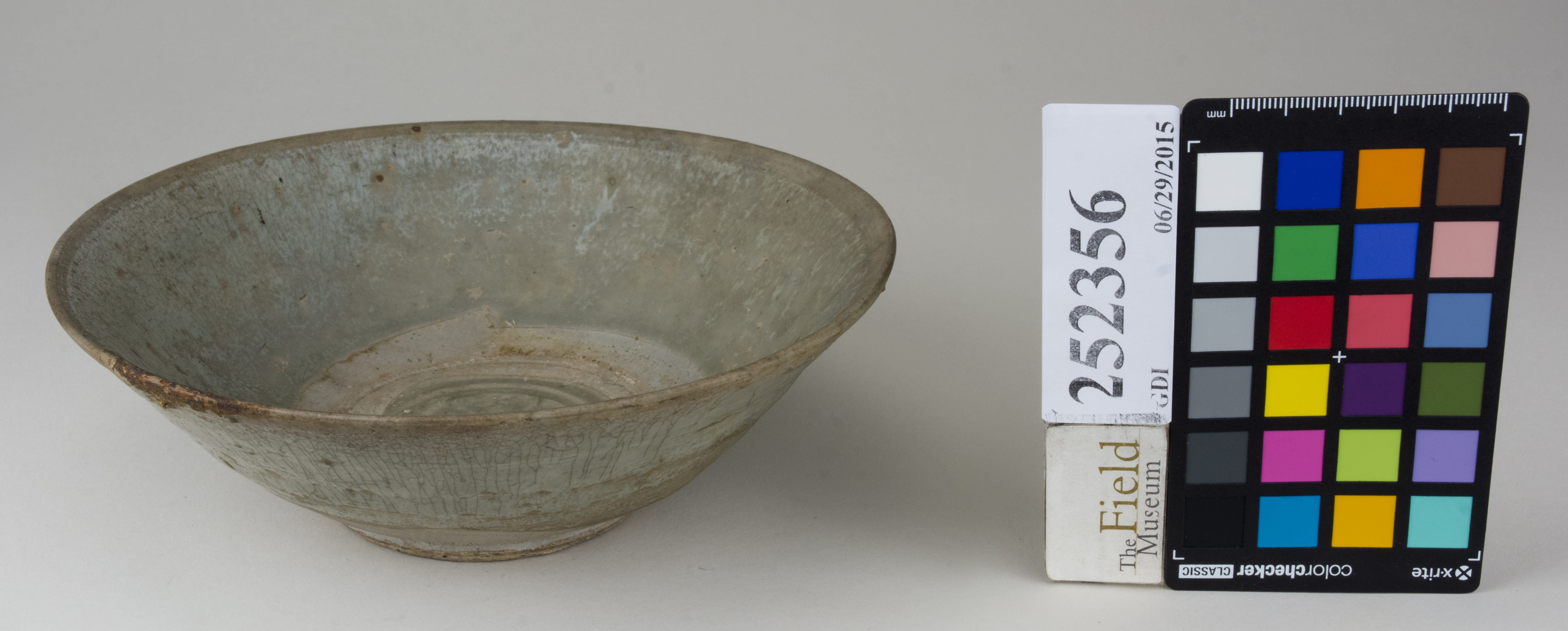 FrontAngle (c) Field Museum of Natural History - CC BY-NC 4.0