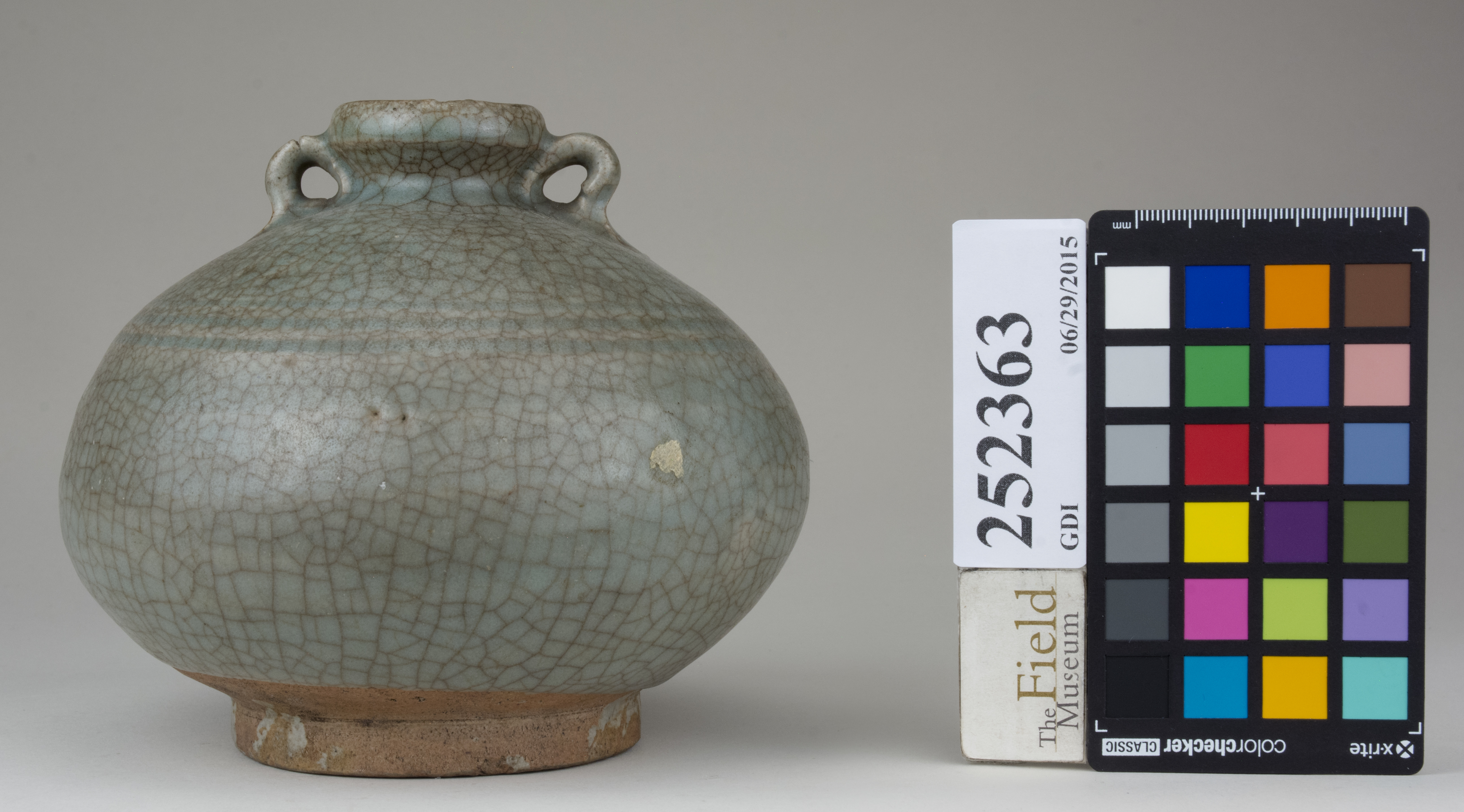 reference image, back (c) Field Museum of Natural History - CC BY-NC 4.0