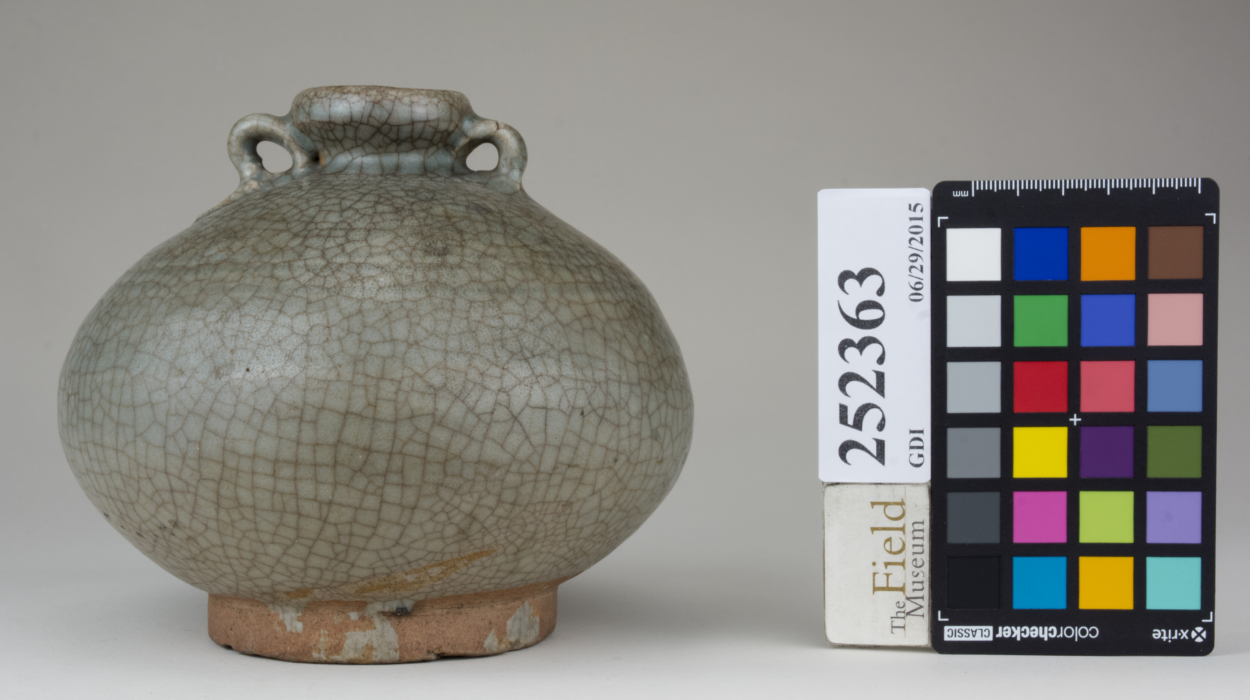 Front (c) Field Museum of Natural History - CC BY-NC 4.0