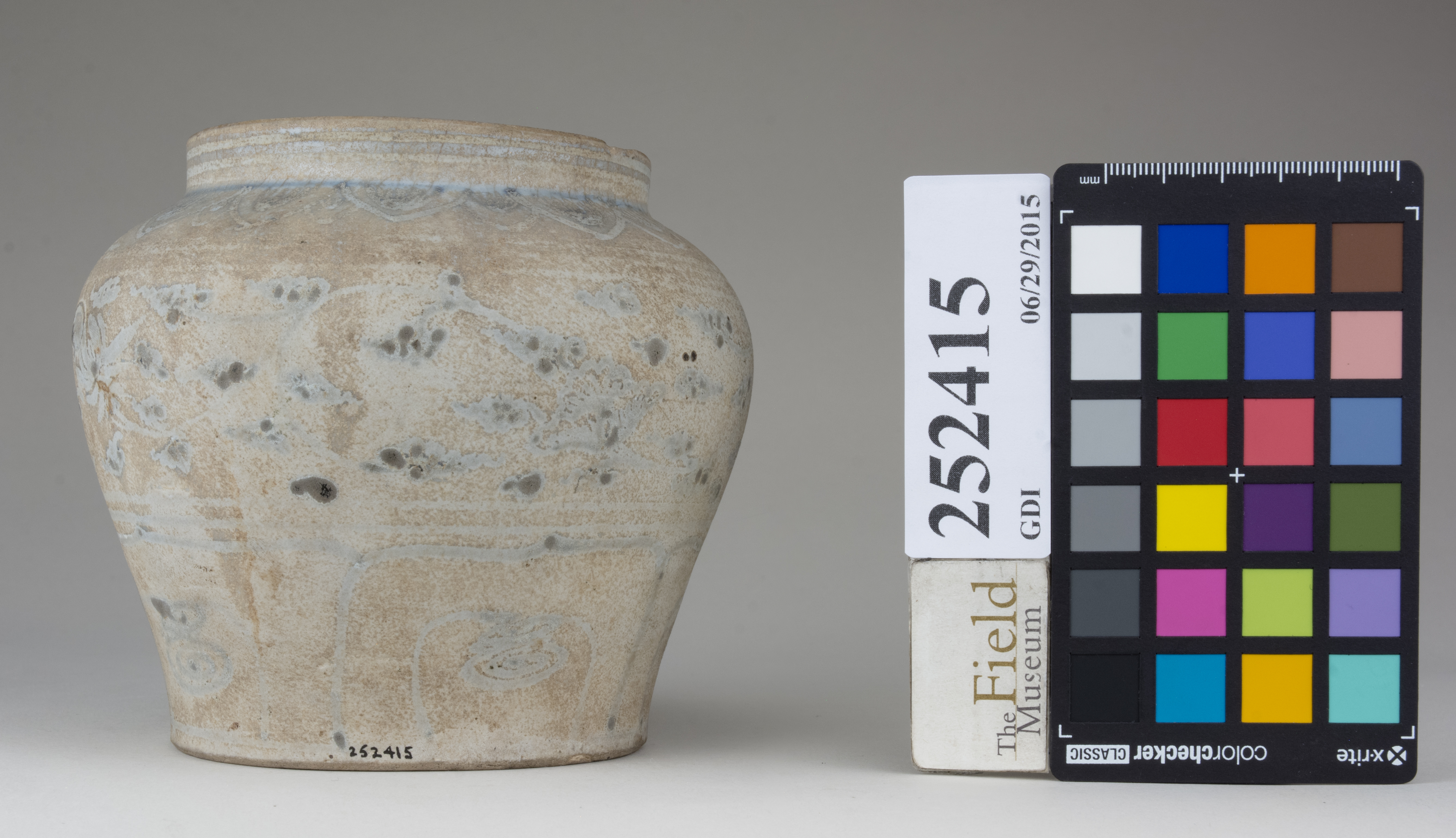 Front (c) Field Museum of Natural History - CC BY-NC 4.0