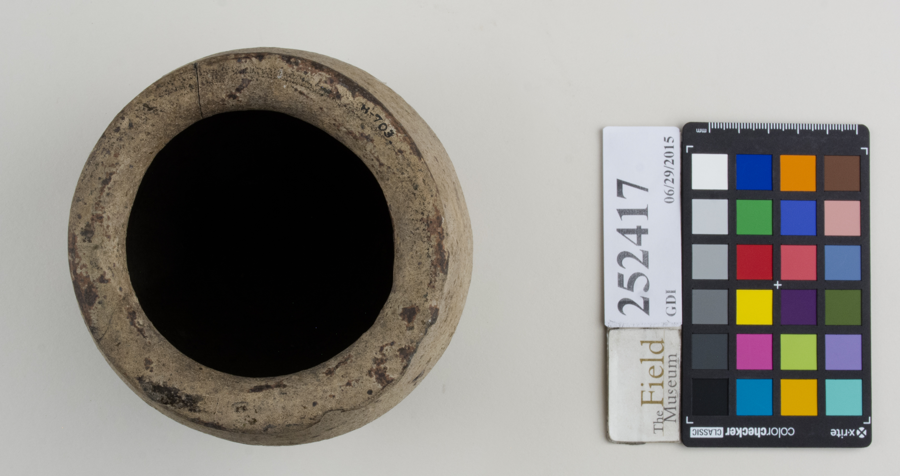 Top (c) Field Museum of Natural History - CC BY-NC 4.0